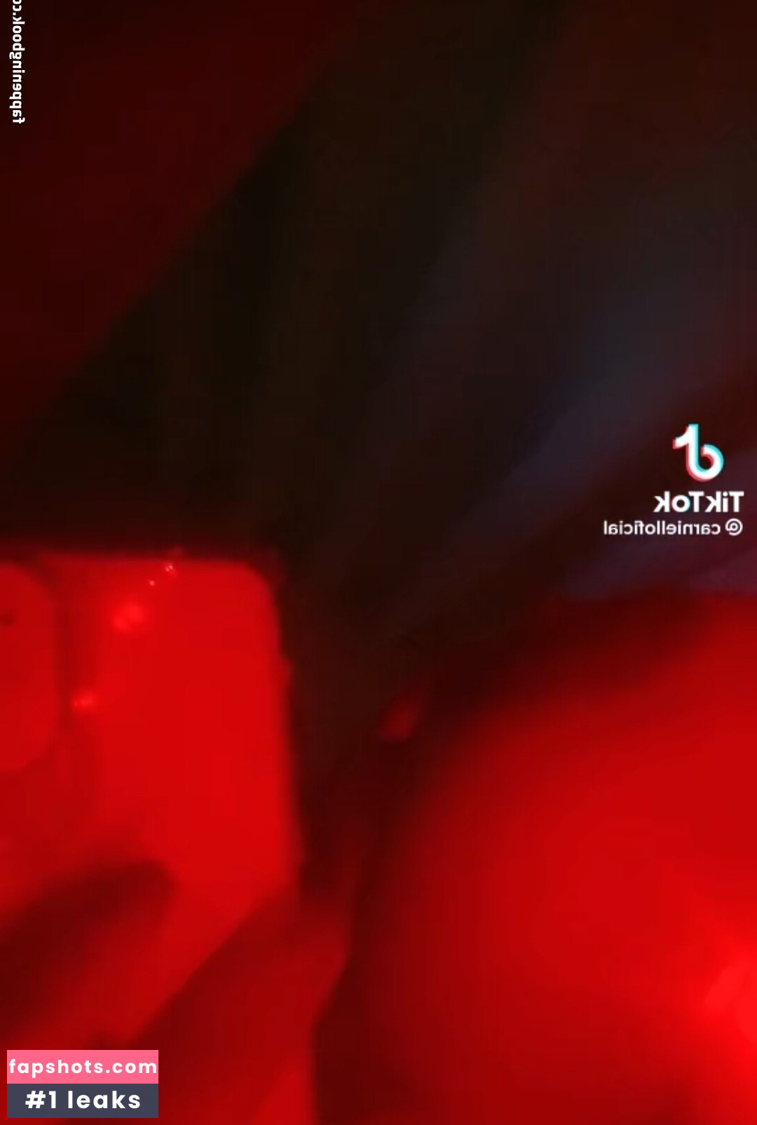 Maria Eduarda Carniello Filtración Desnuda OnlyFans Foto #18 - Fapshots