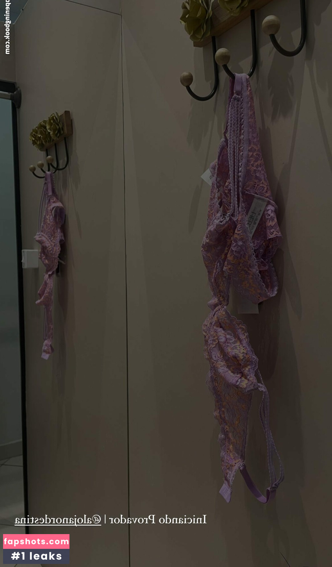 Mariana Vill gallery photo #13