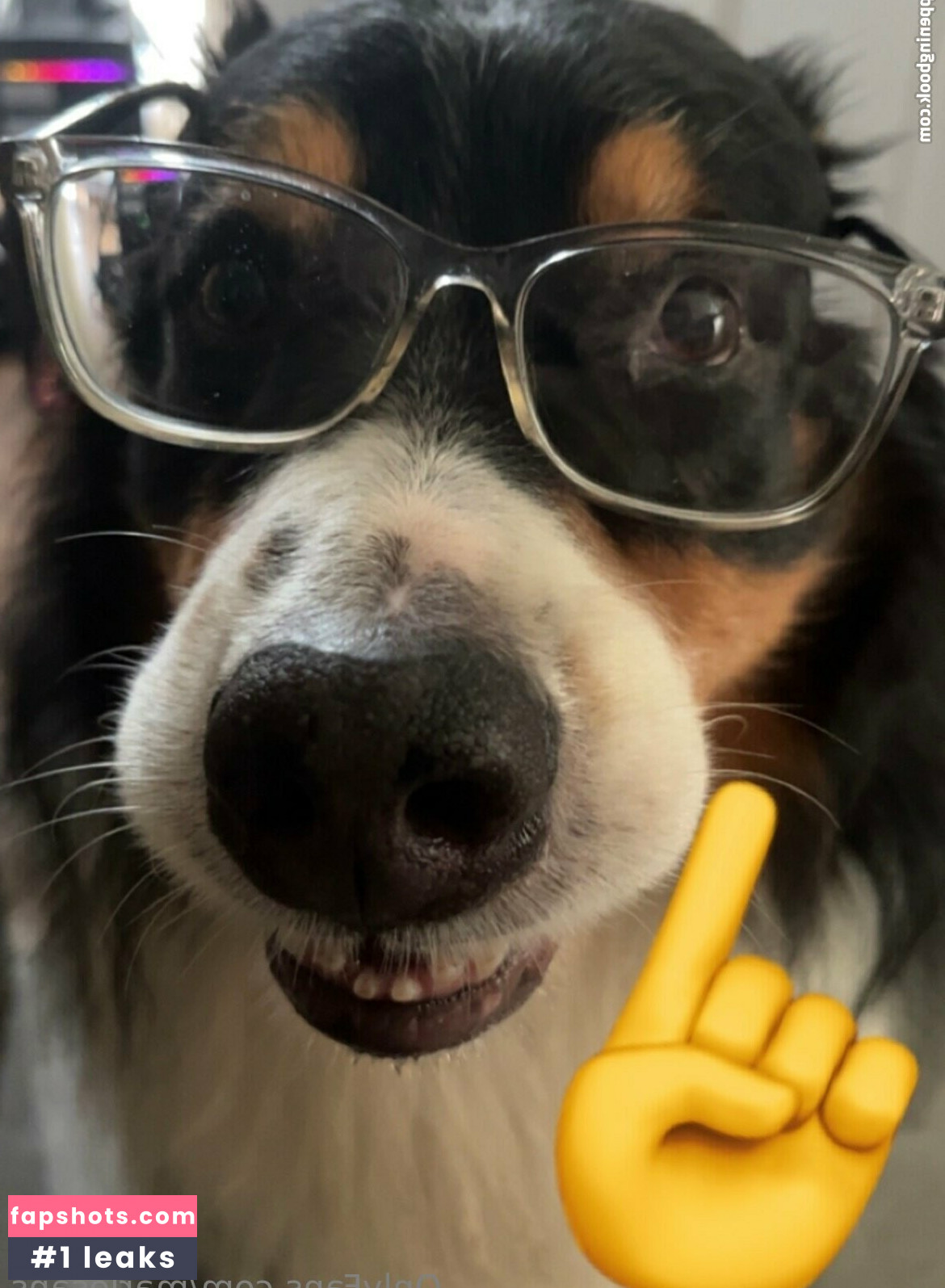 marlosans gallery photo #5