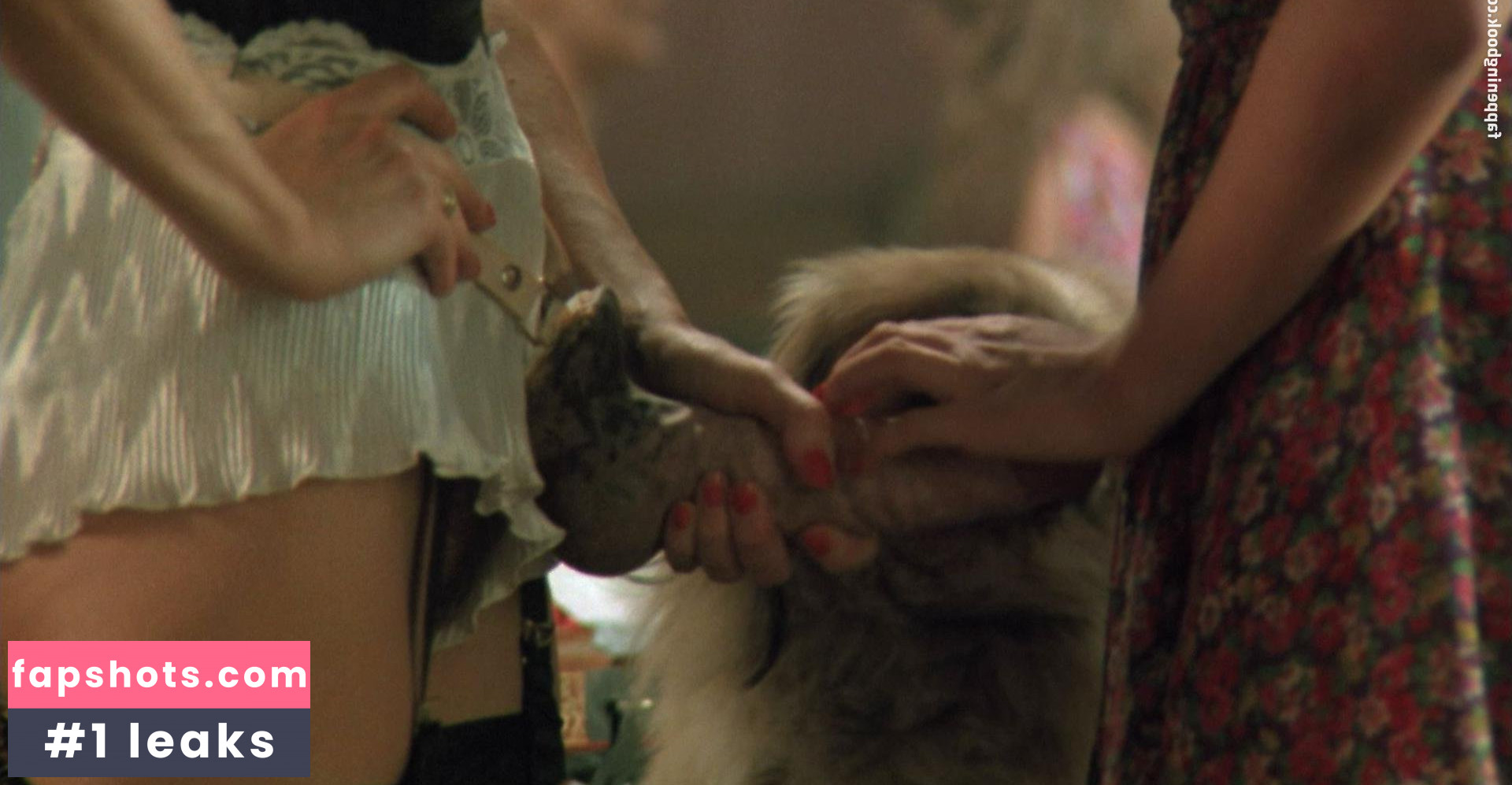 Martine Brochard gallery photo #15