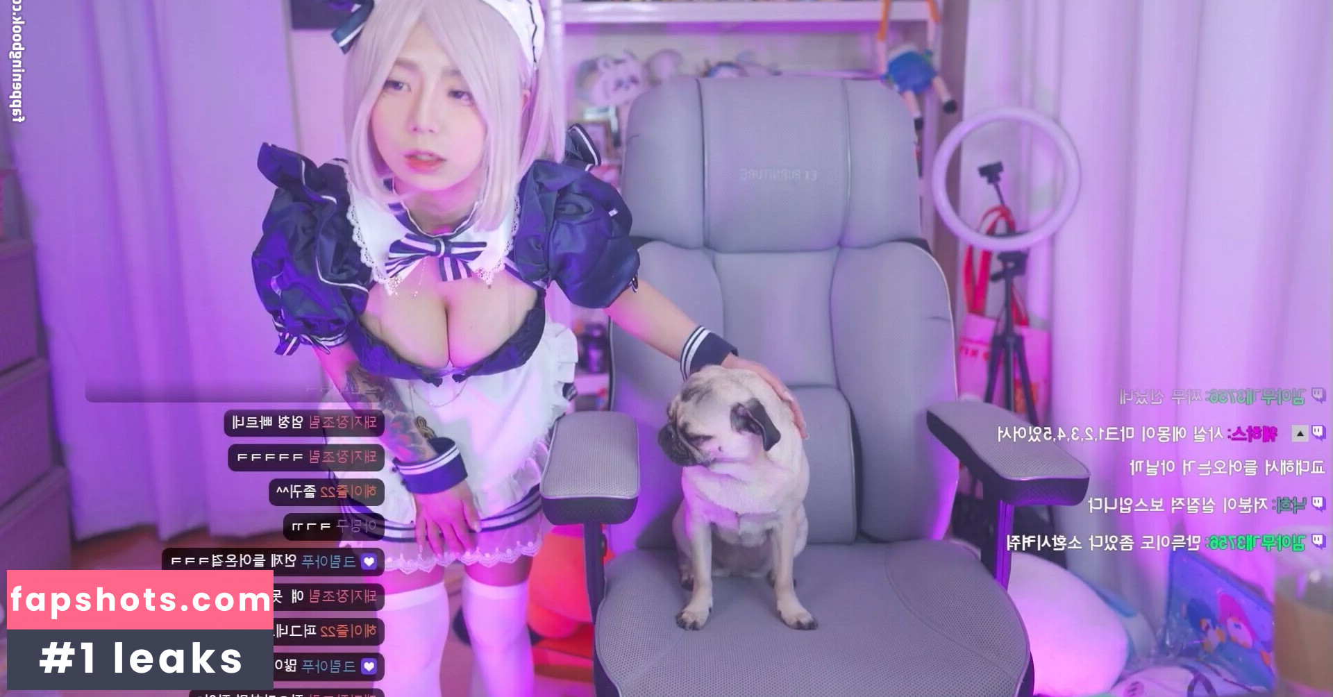 Maruemon gallery photo #3