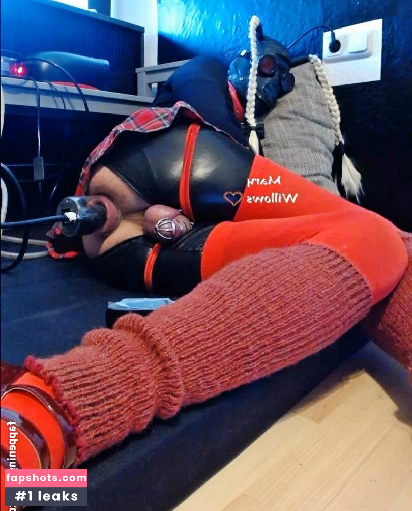 marywillows gallery photo #14