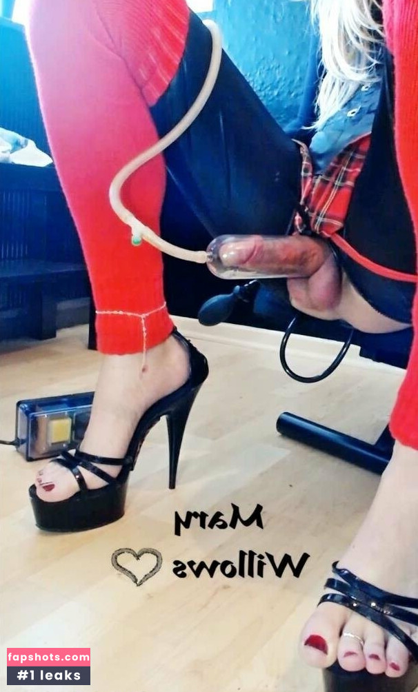 marywillows gallery photo #38