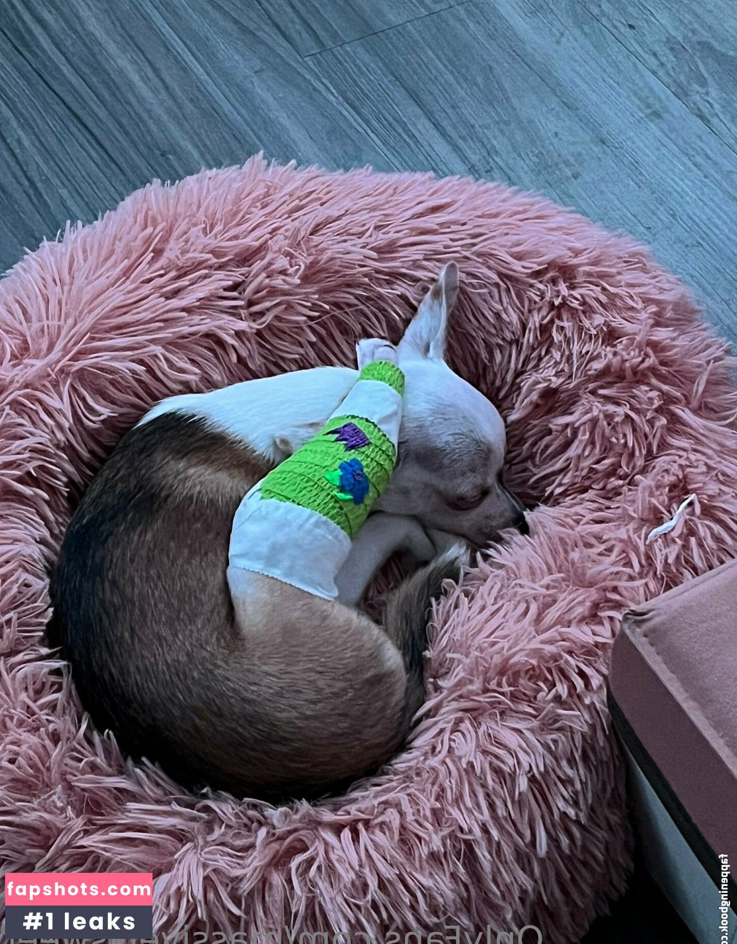 massivelysweet gallery photo #2