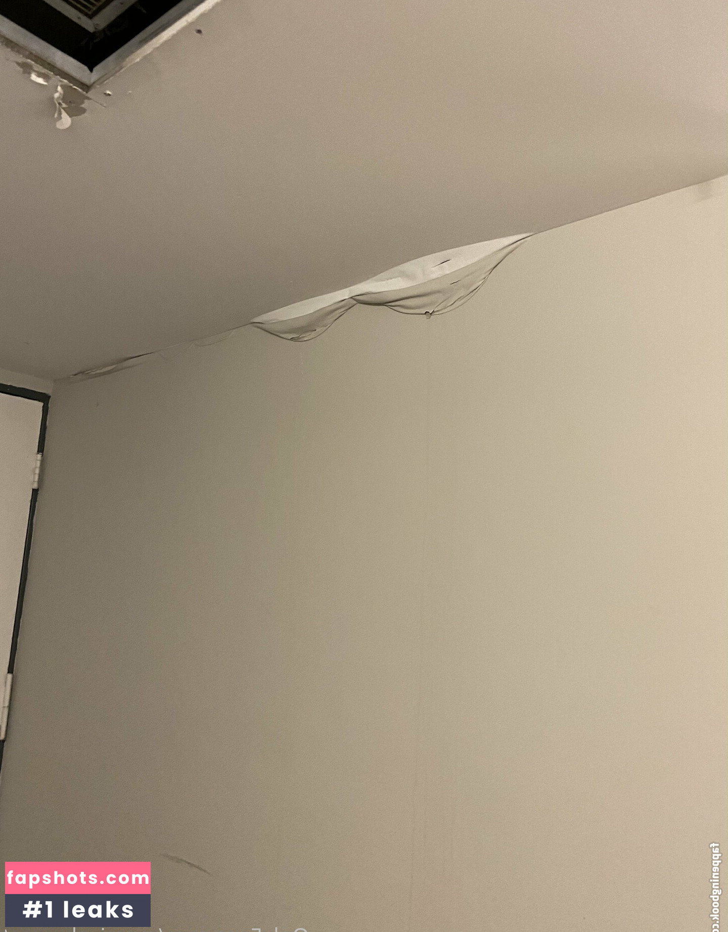 massivelysweet gallery photo #30