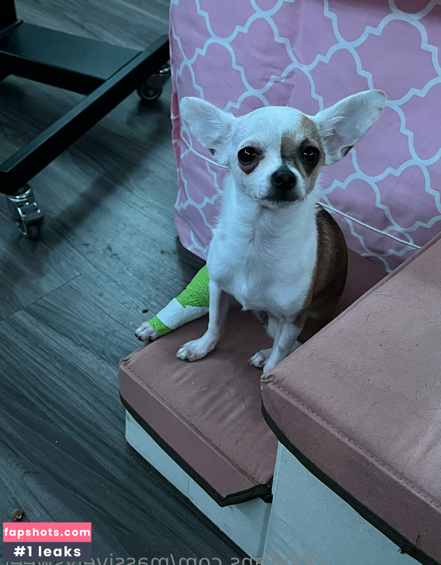 massivelysweet gallery photo #6