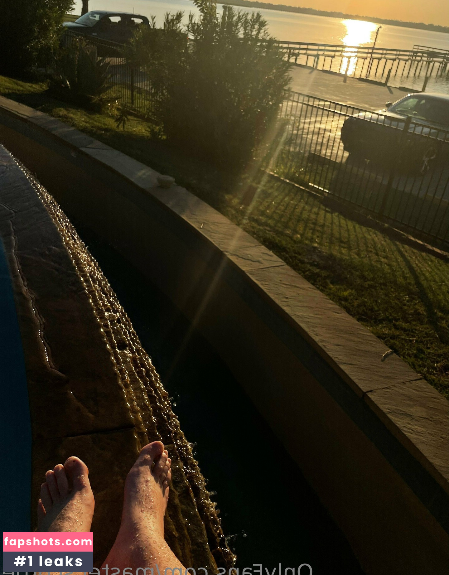 master.scottie gallery photo #15