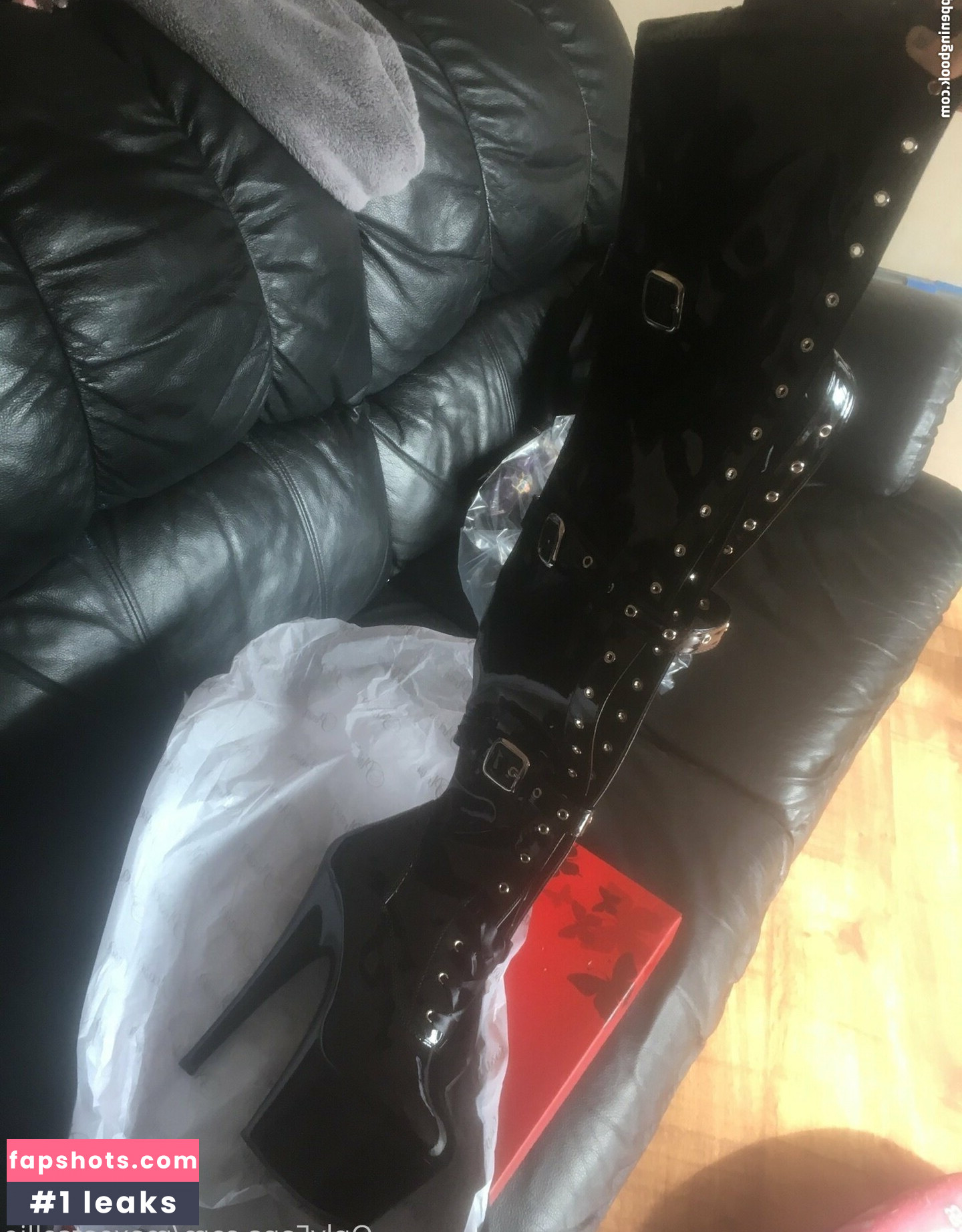 maxeatsellie gallery photo #17