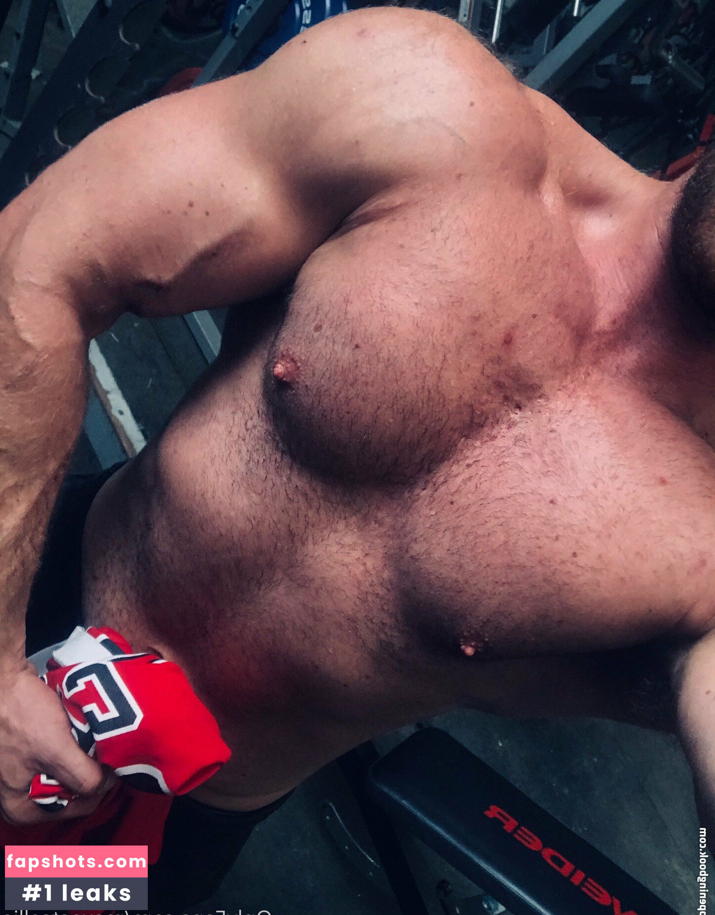 maxeatsellie gallery photo #20