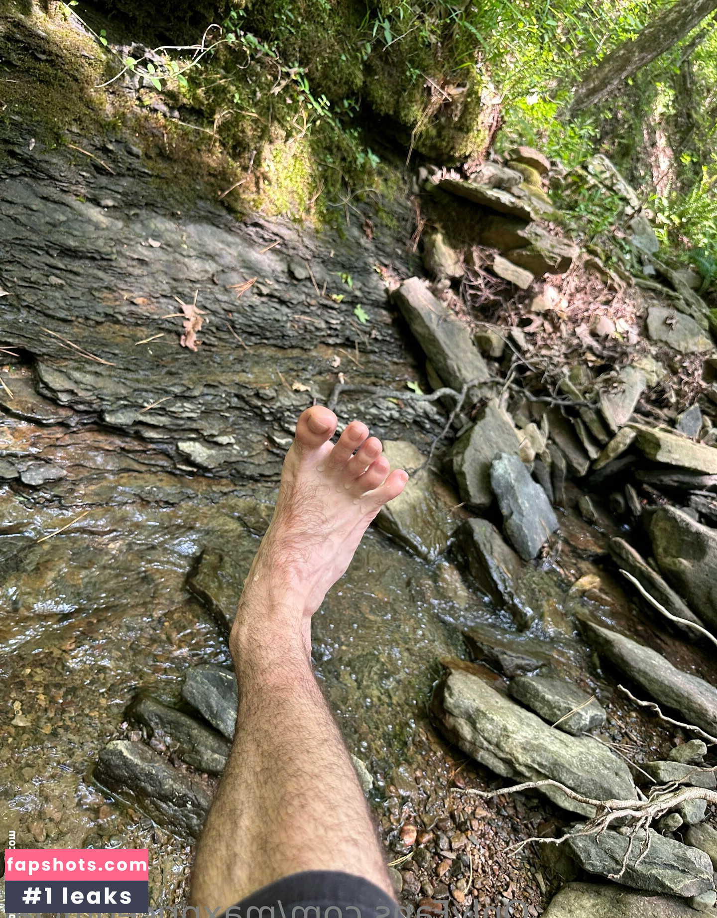 maxpriceofficial gallery photo #25