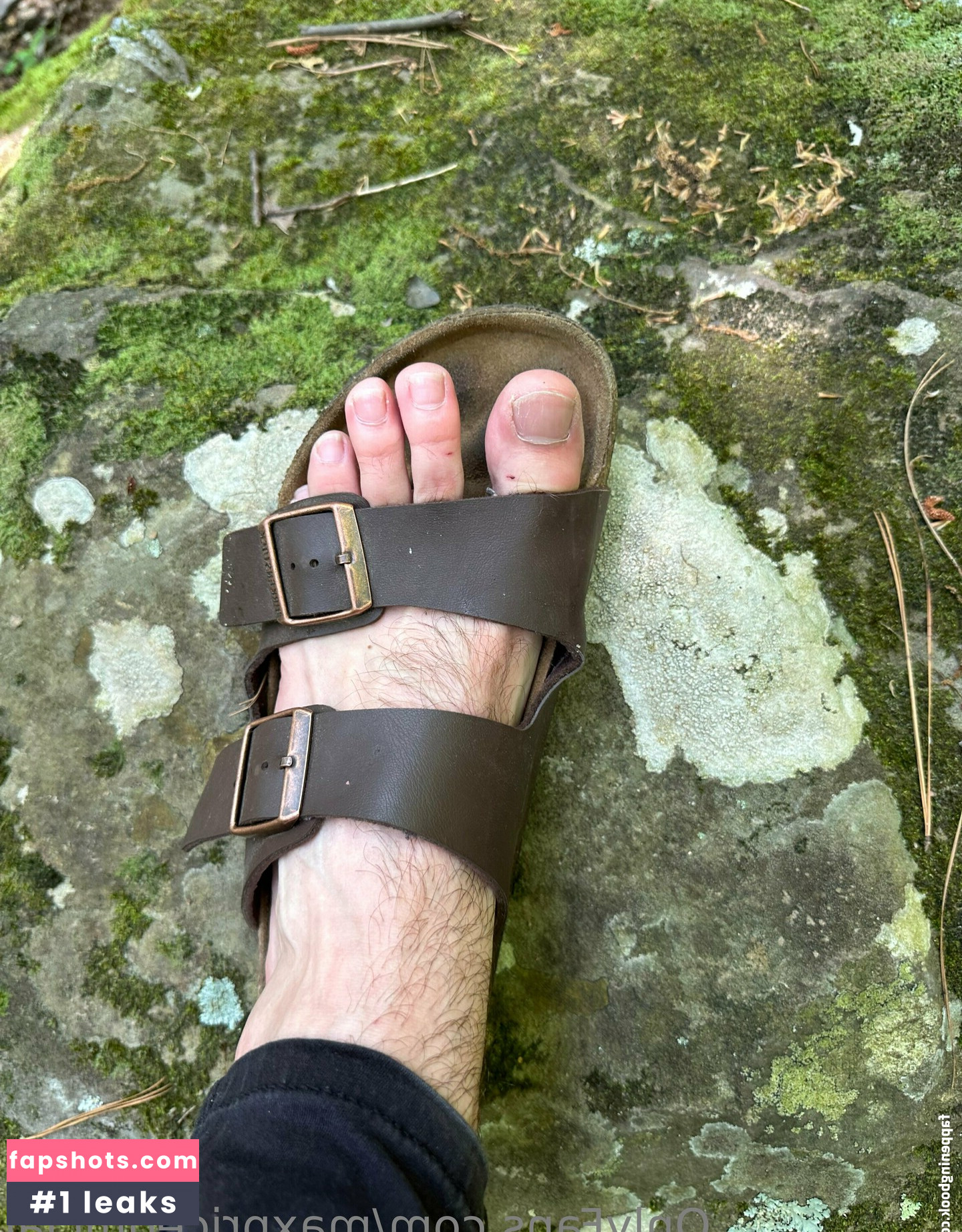 maxpriceofficial gallery photo #10