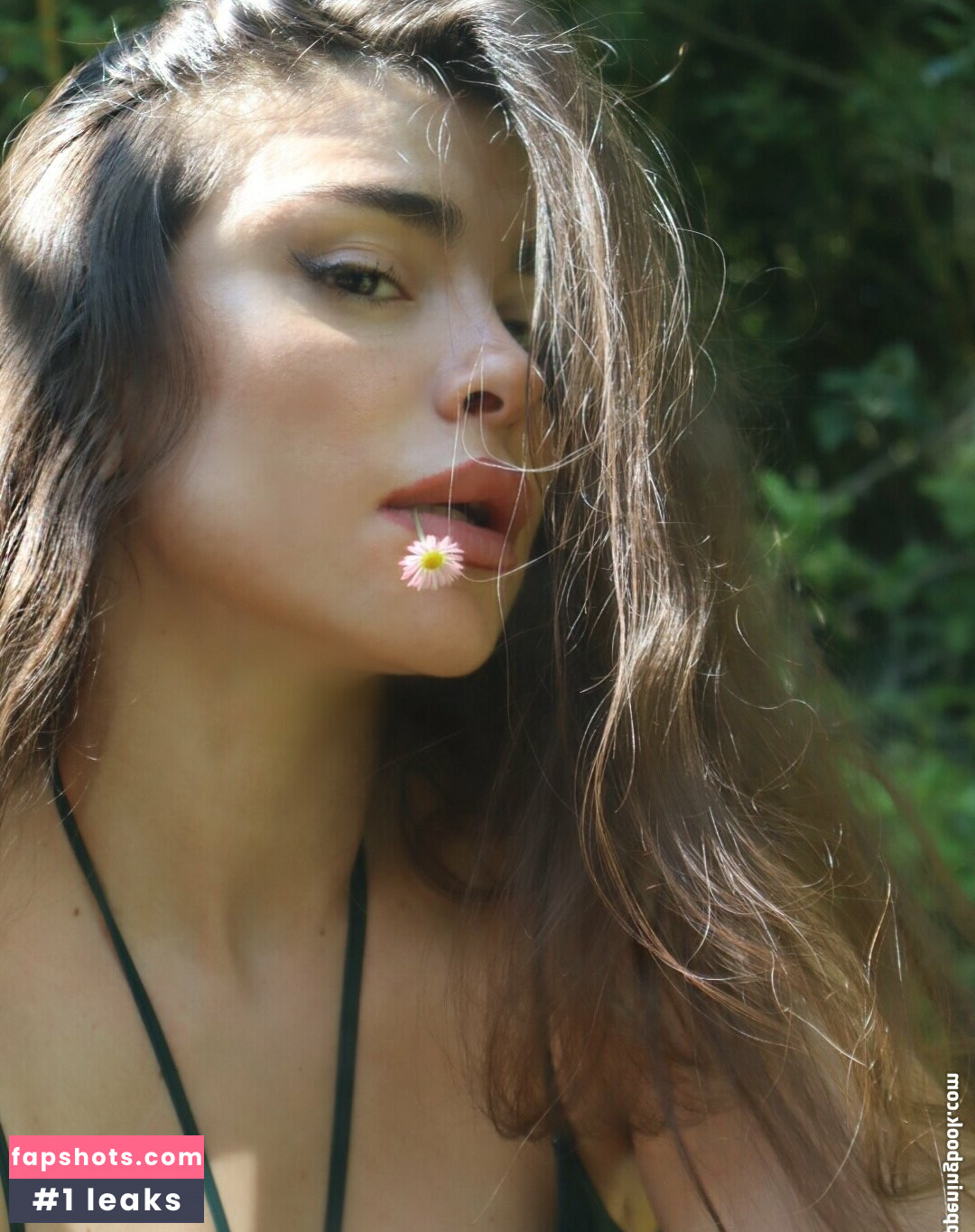 Maya Abou Rouphael gallery photo #16