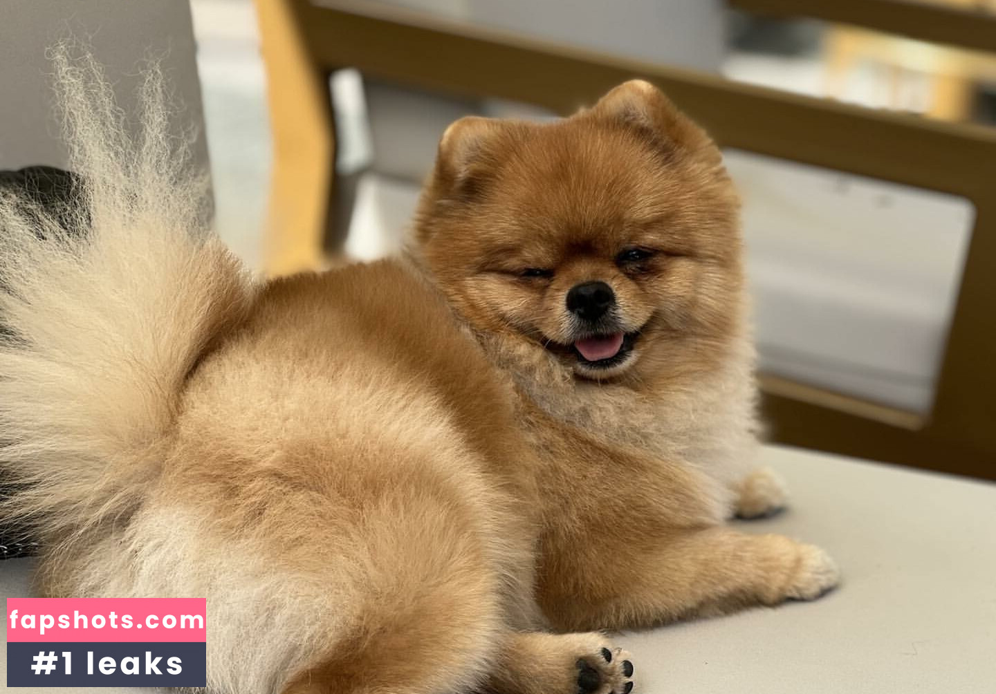 Maya Bulgarien gallery photo #13