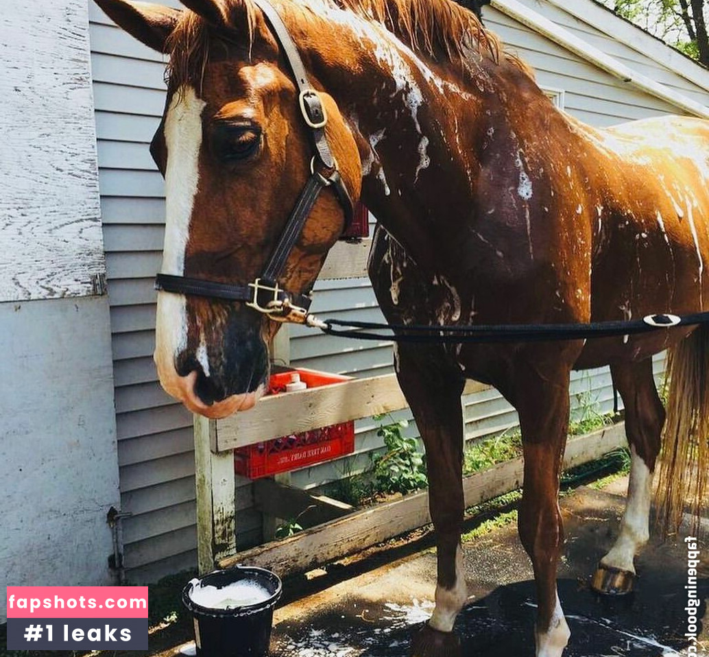 Maya Bulgarien gallery photo #21