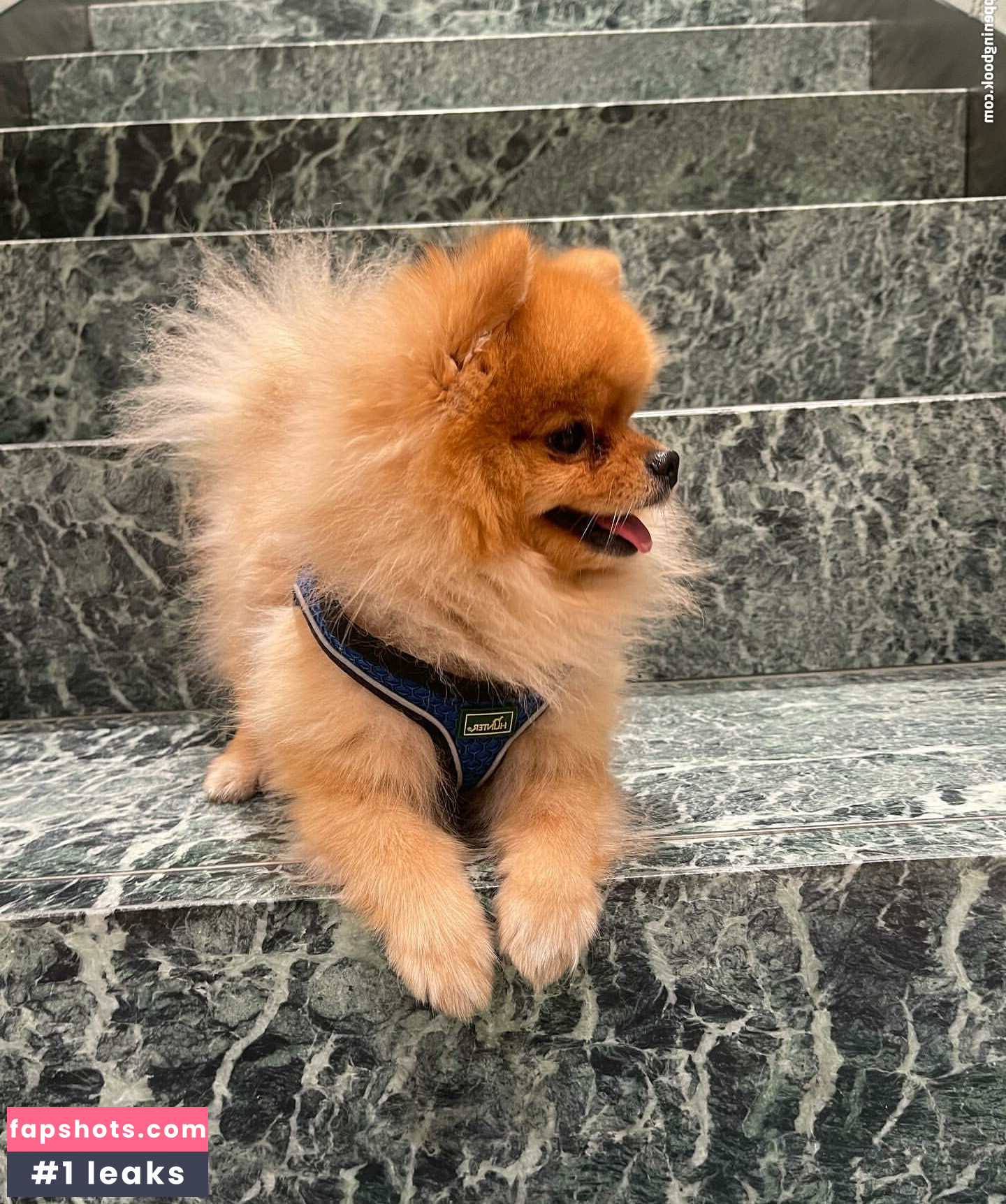 Maya Bulgarien gallery photo #25