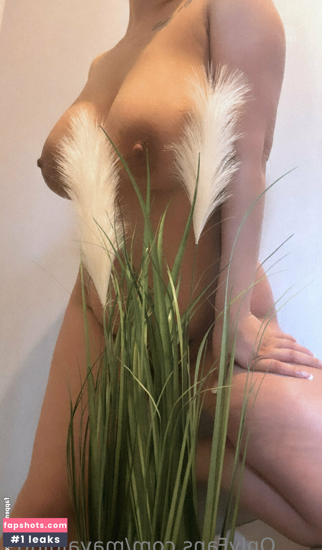 mayalulu69 Nahé úniky fotek pouze od fanoušků #15 - Fapshots