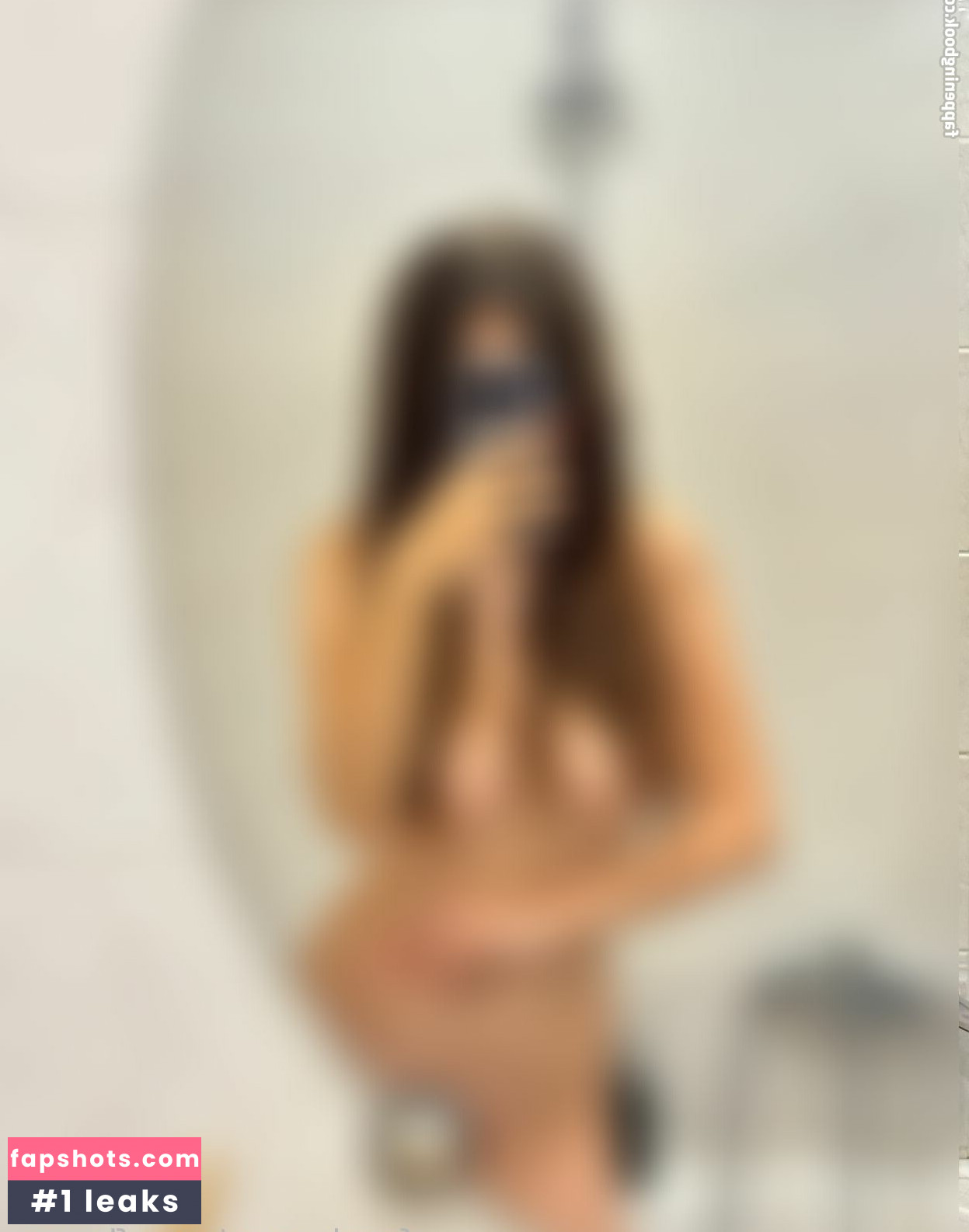 mayflower gallery photo #26