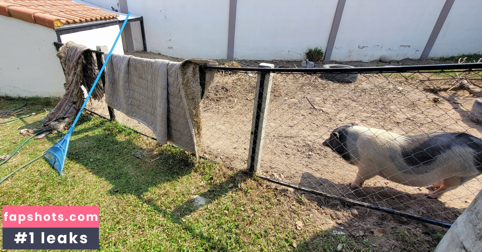 mayleefun gallery photo #42