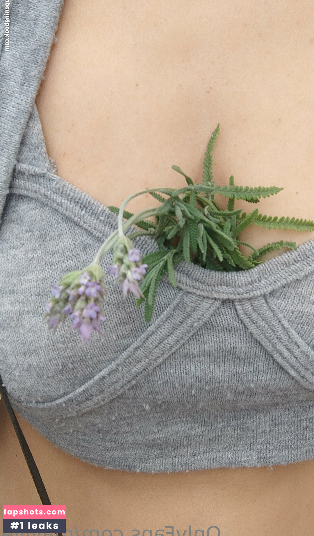 mayllie gallery photo #8