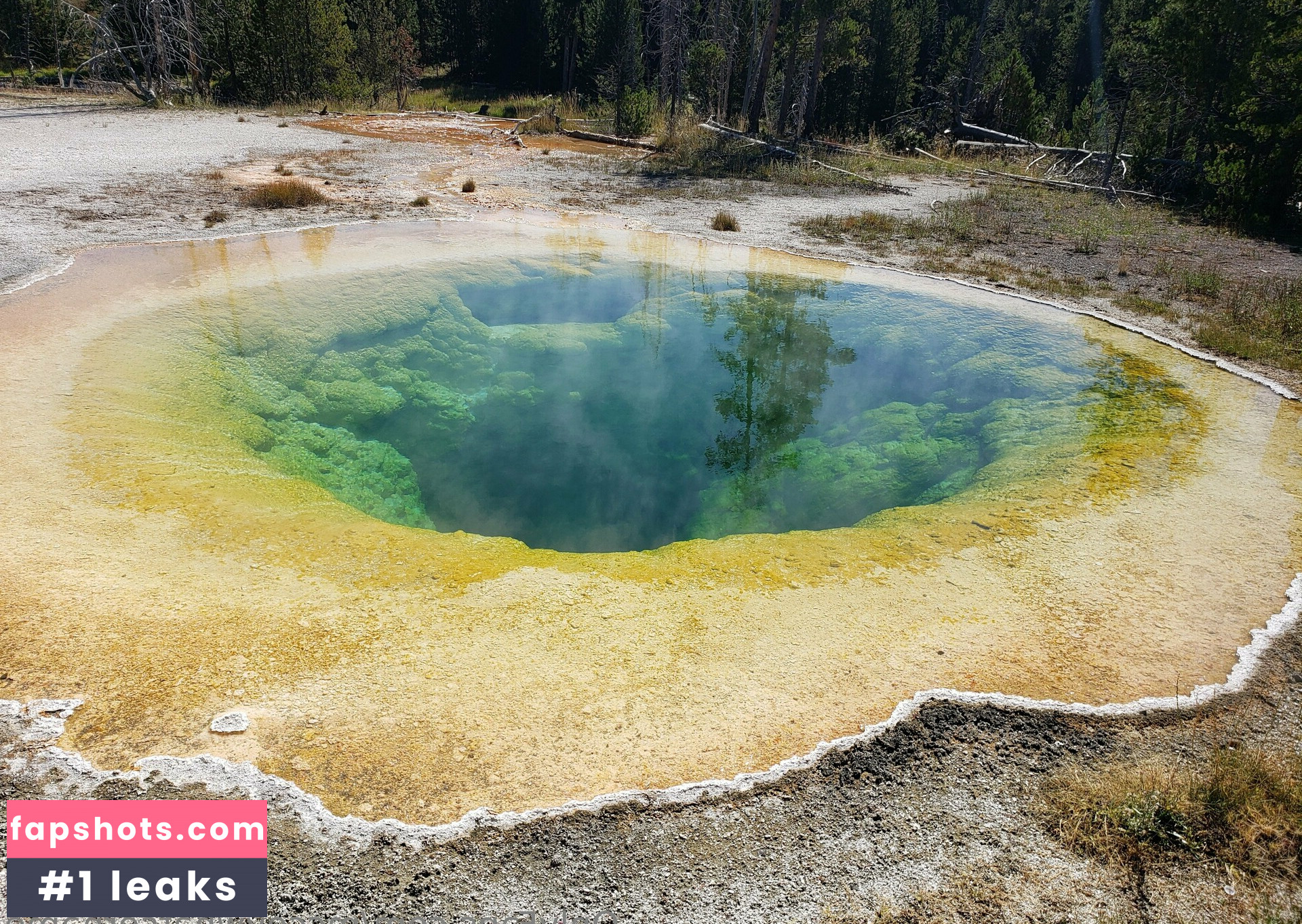 mccoywhatsername gallery photo #11