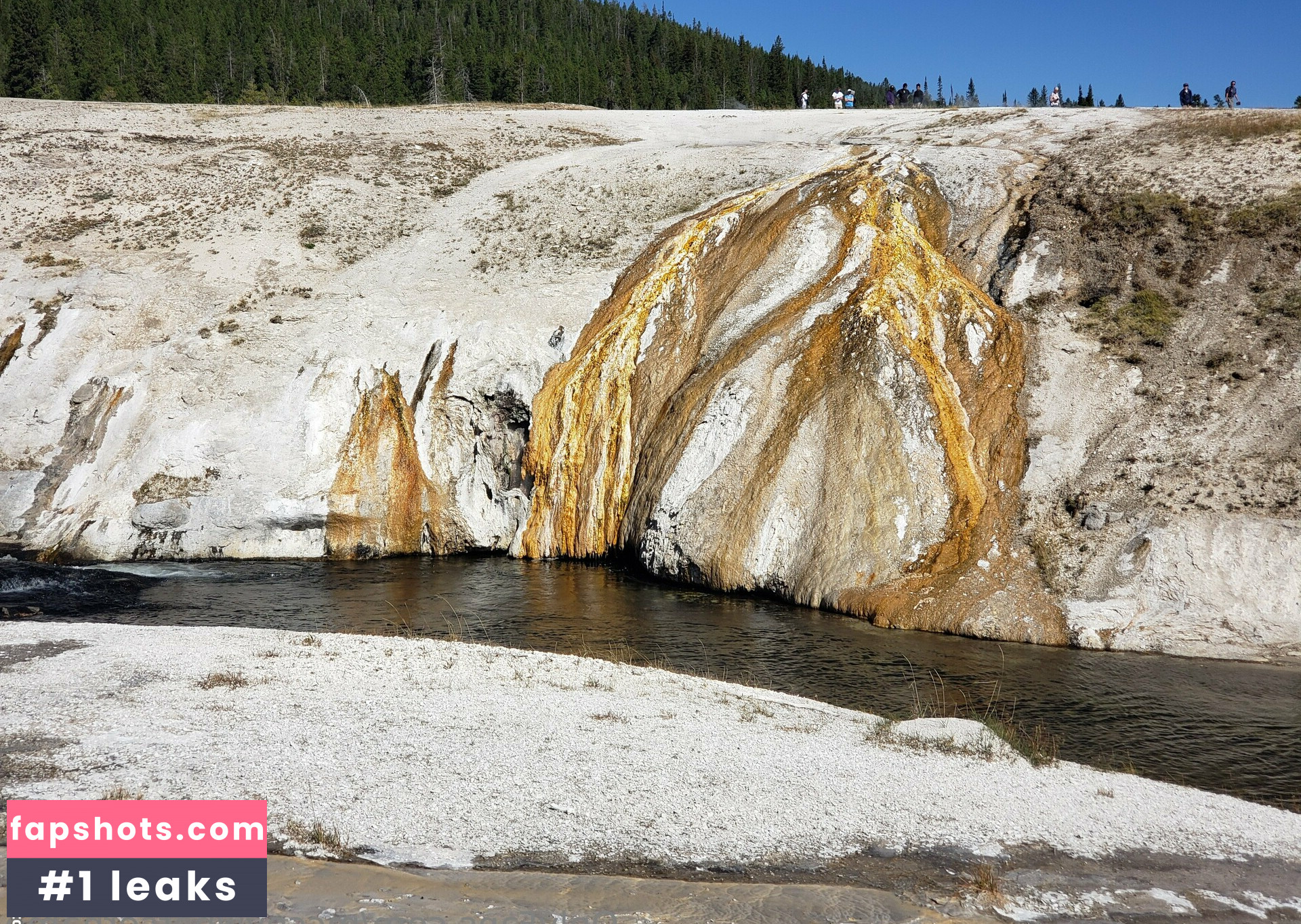 mccoywhatsername gallery photo #15