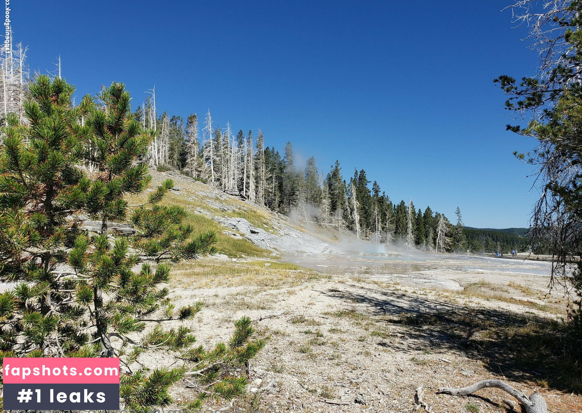 mccoywhatsername gallery photo #7