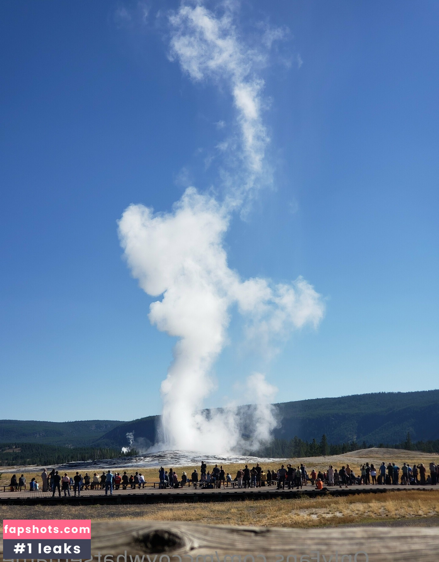 mccoywhatsername gallery photo #8