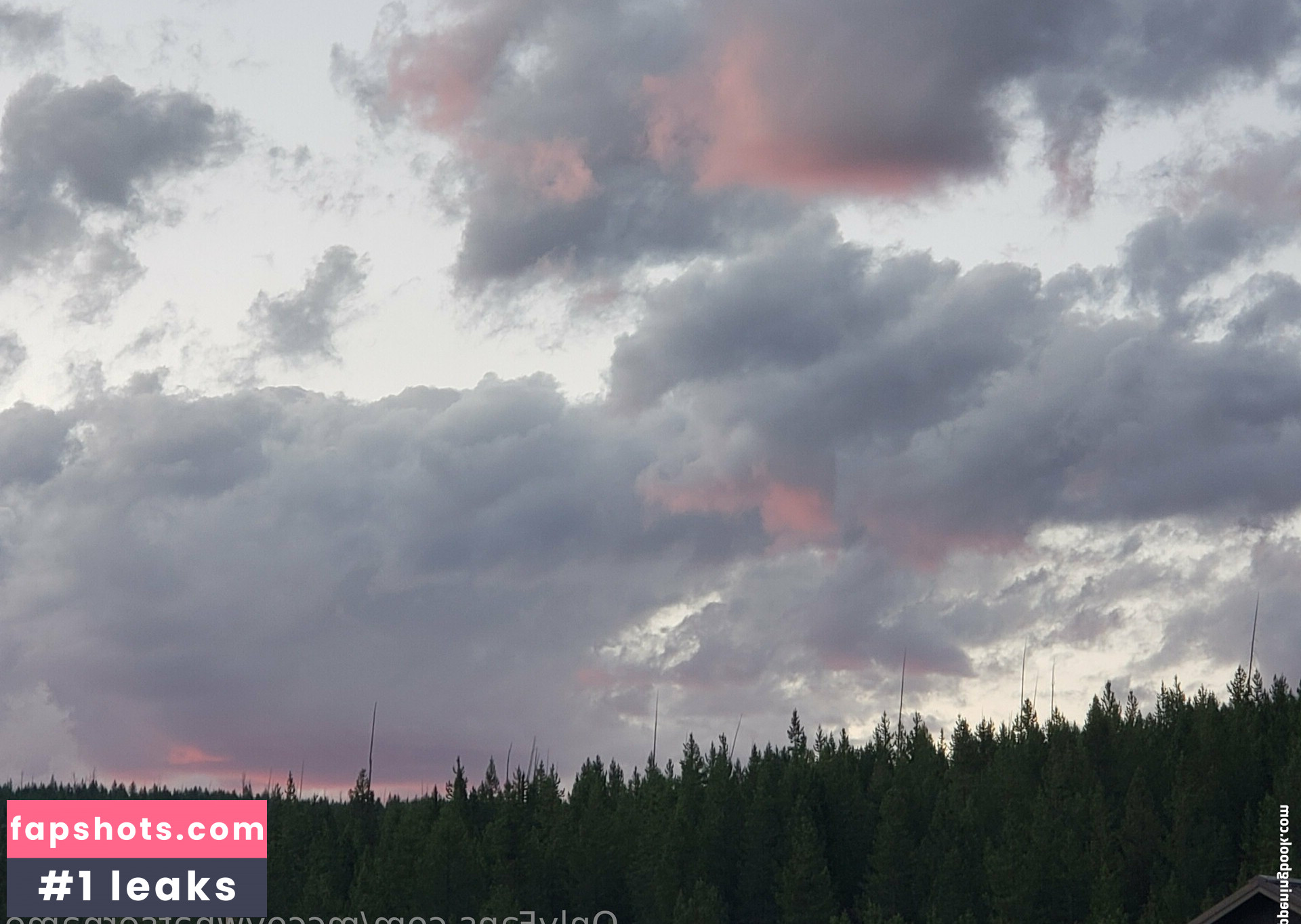 mccoywhatsername gallery photo #10