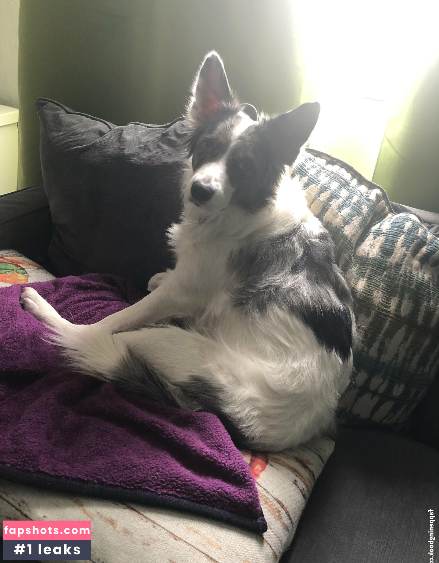 mcjigglezzz Nude Leaks OnlyFans Photos #251 - LeakJerk