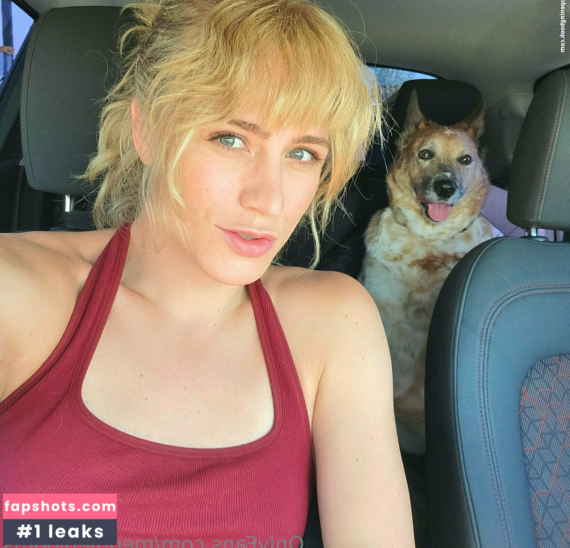 meddleblooms gallery photo #99