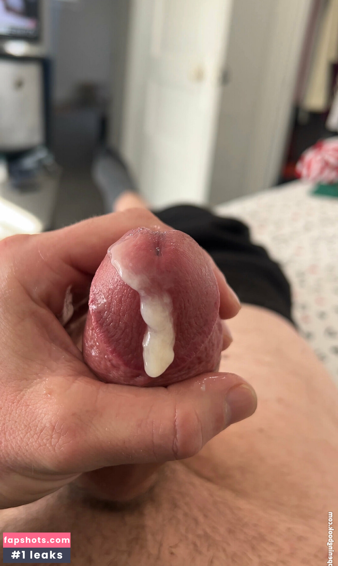 megadongx gallery photo #11