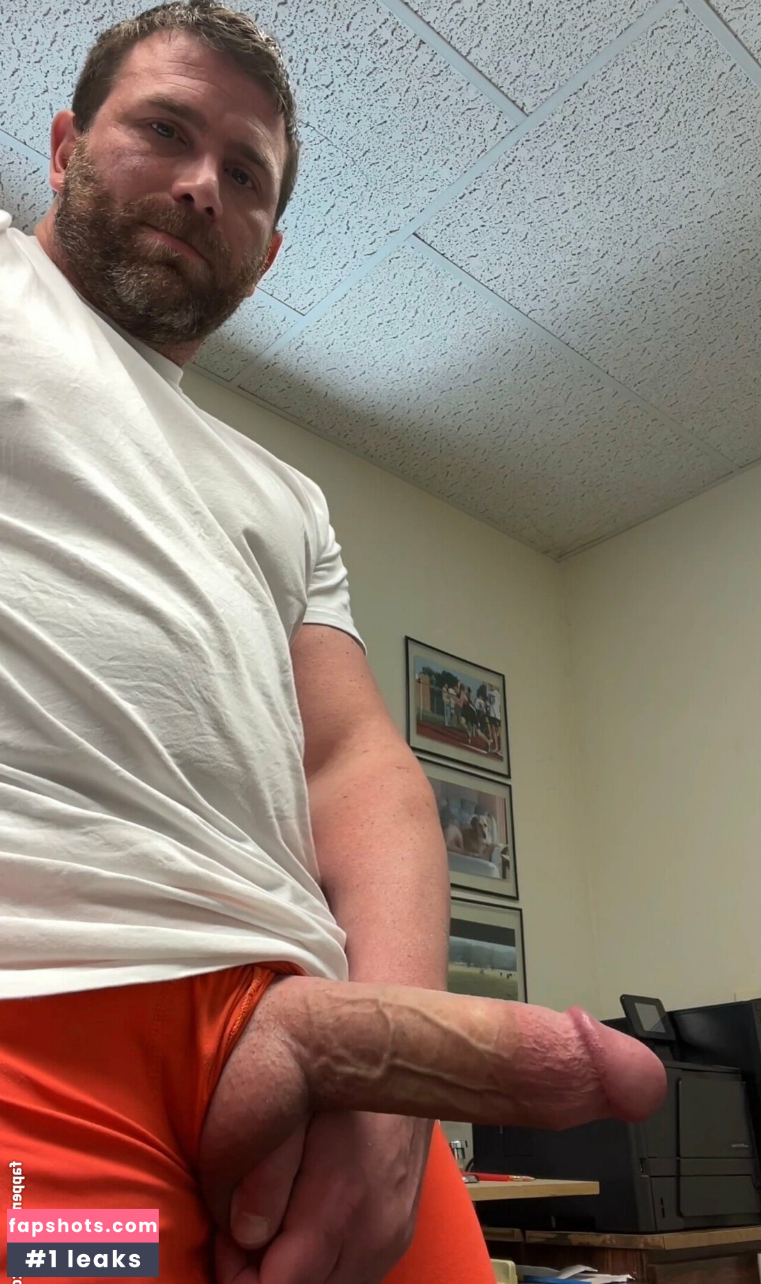 megadongx gallery photo #3