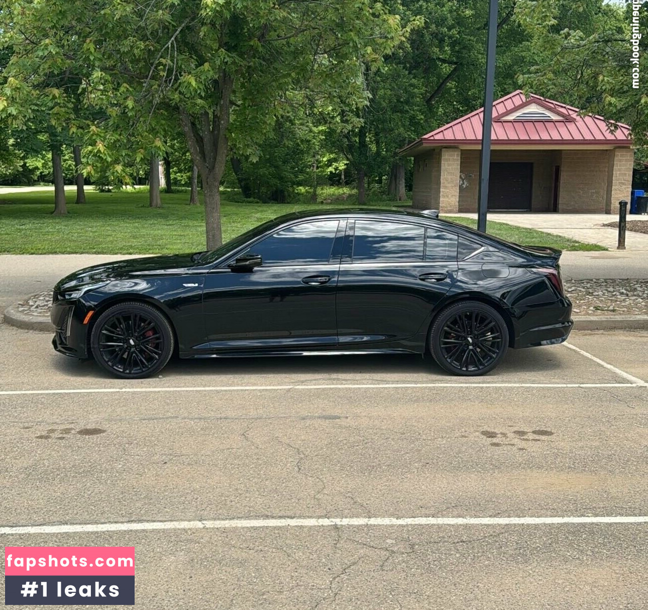 megadongx gallery photo #4