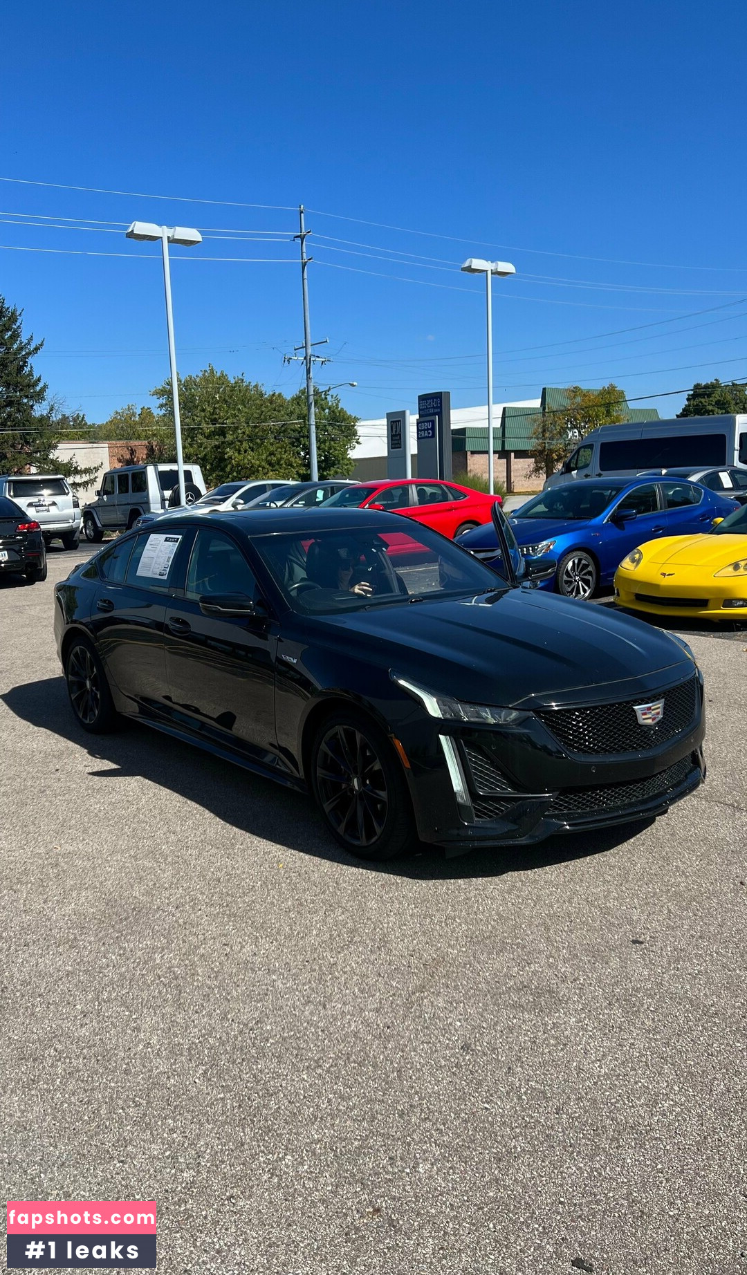 megadongx gallery photo #38