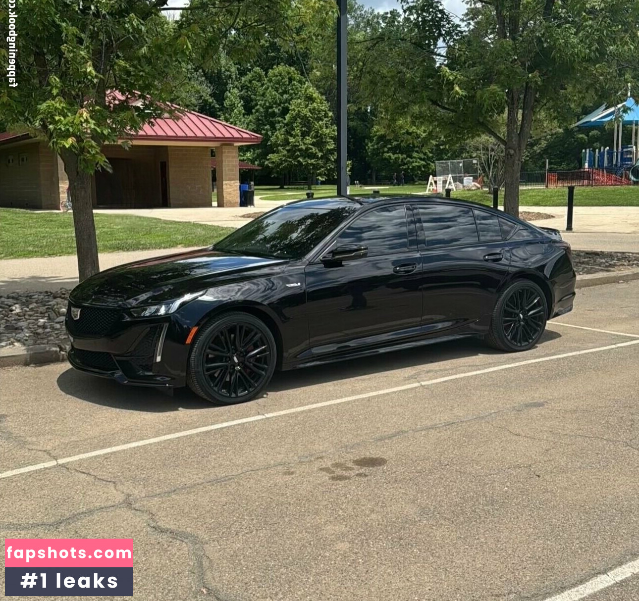 megadongx gallery photo #5