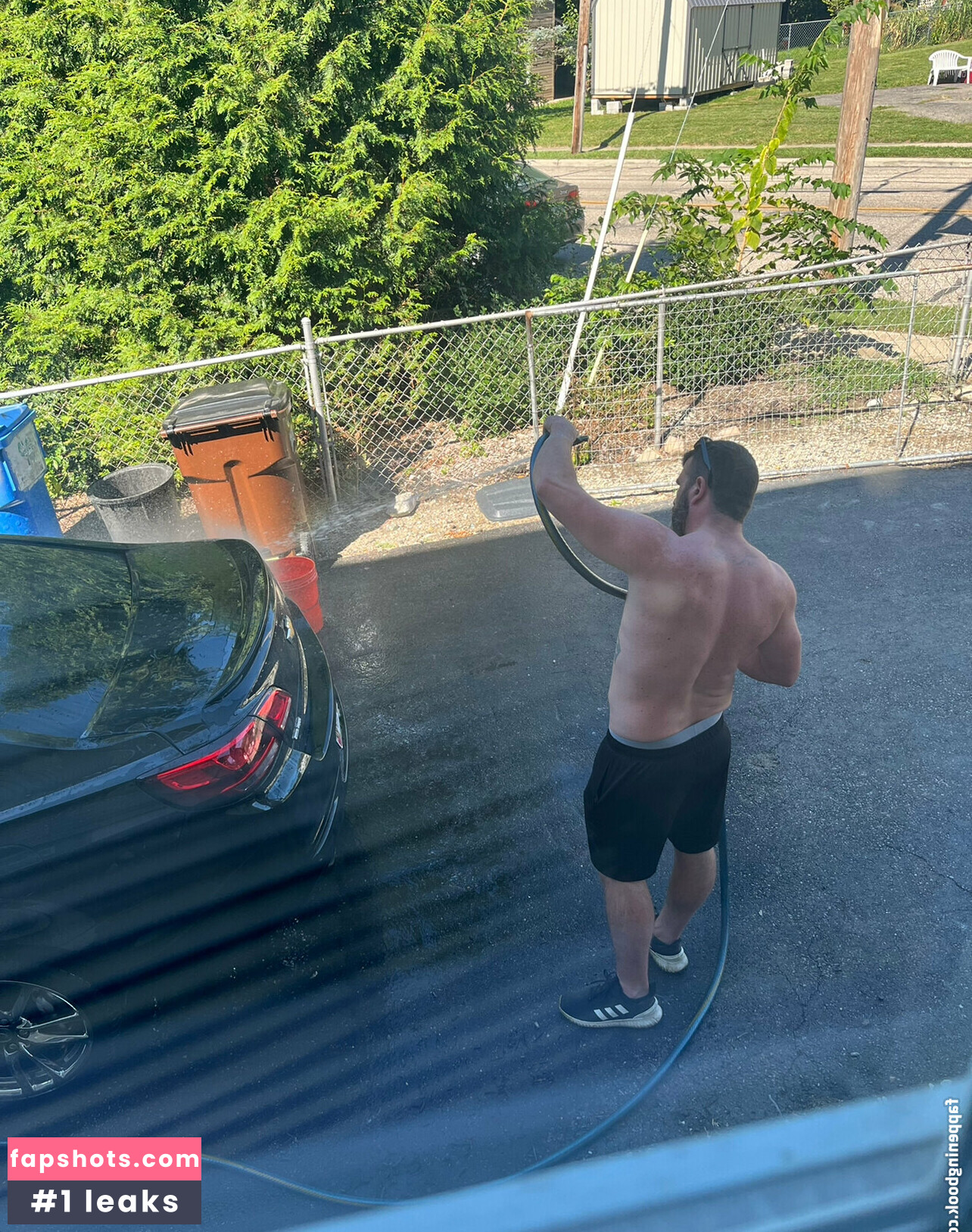 megadongx gallery photo #71