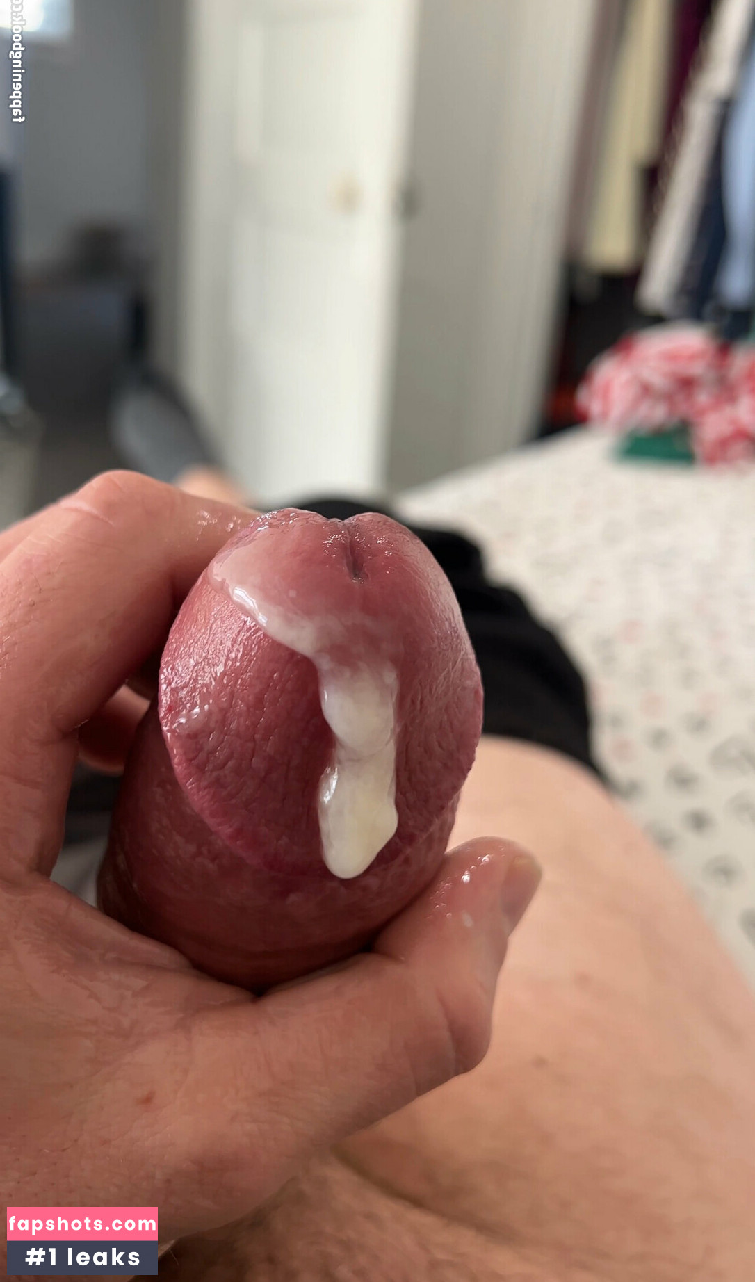 megadongx gallery photo #10