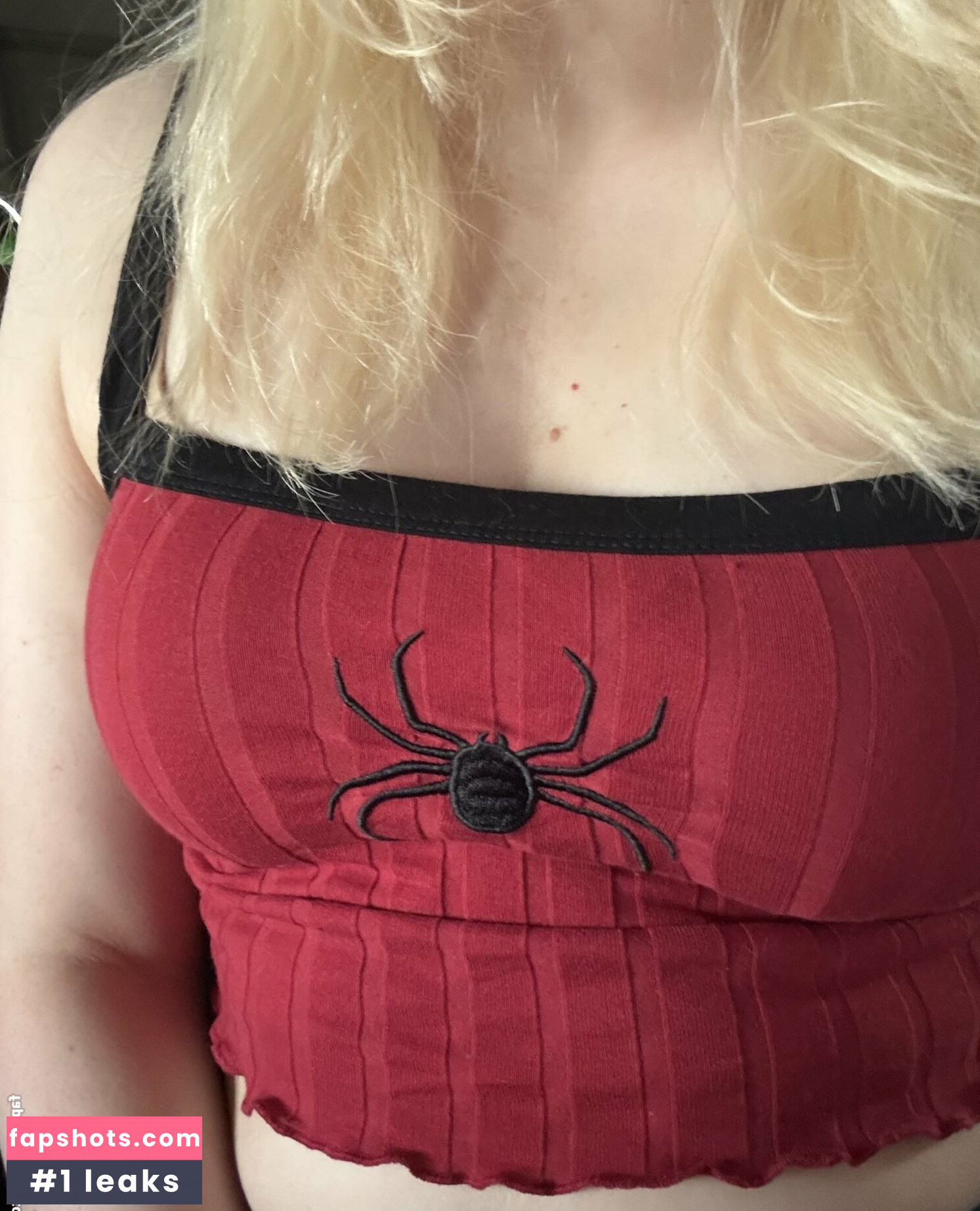 MegalodonVT gallery photo #5