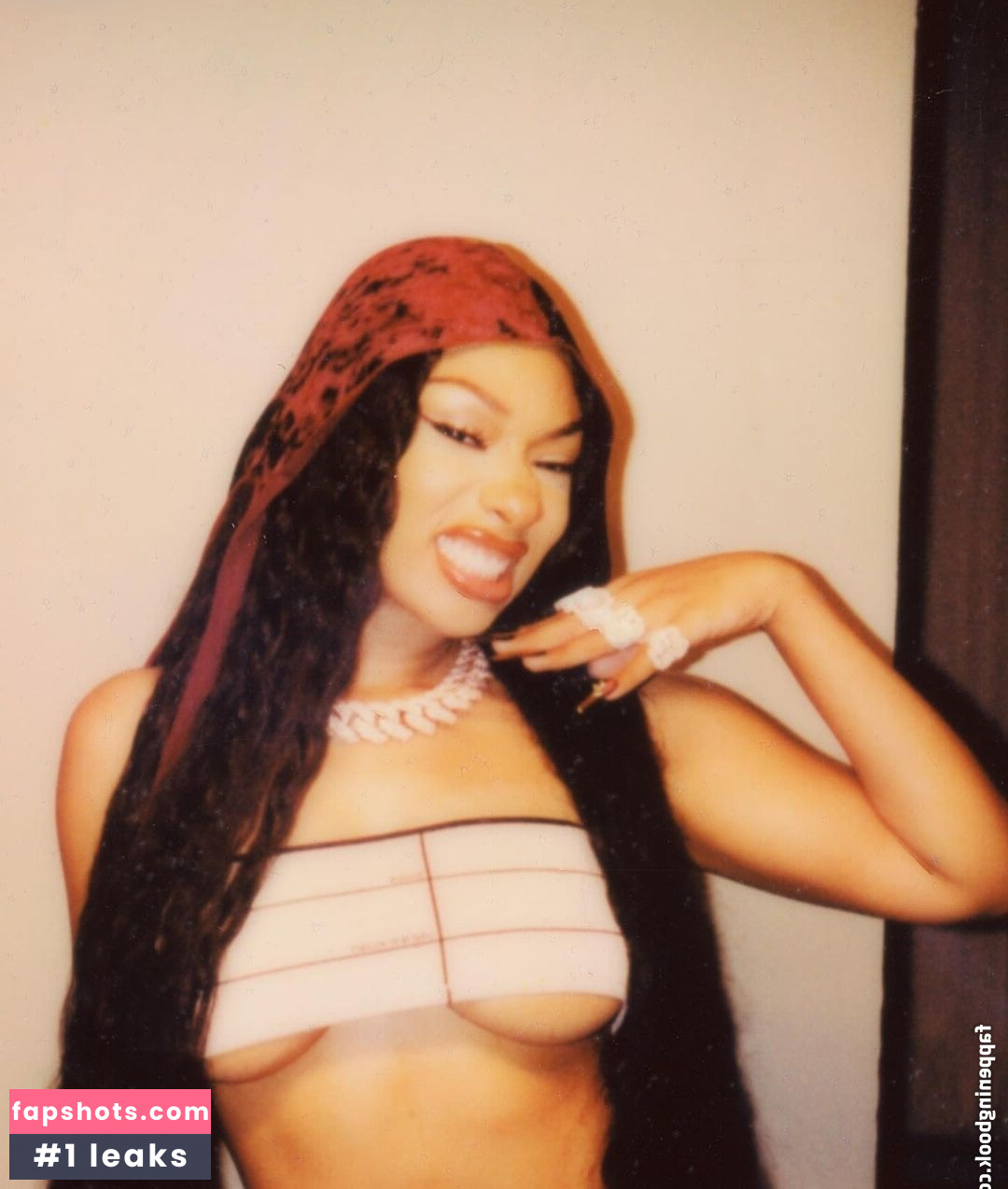 Megan Thee Stallion Nacktheit OnlyFans Fotos #140 - Fapshots