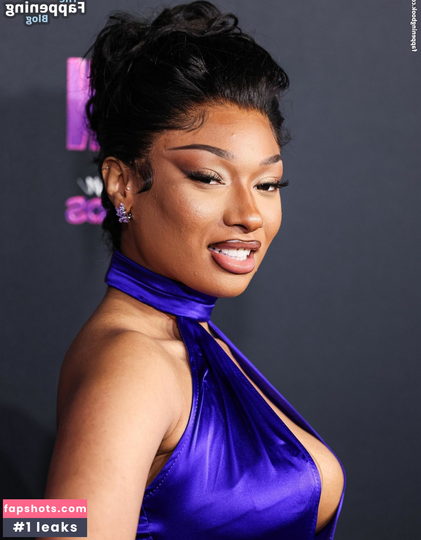 Megan Thee Stallion Nacktheit OnlyFans Fotos #158 - Fapshots