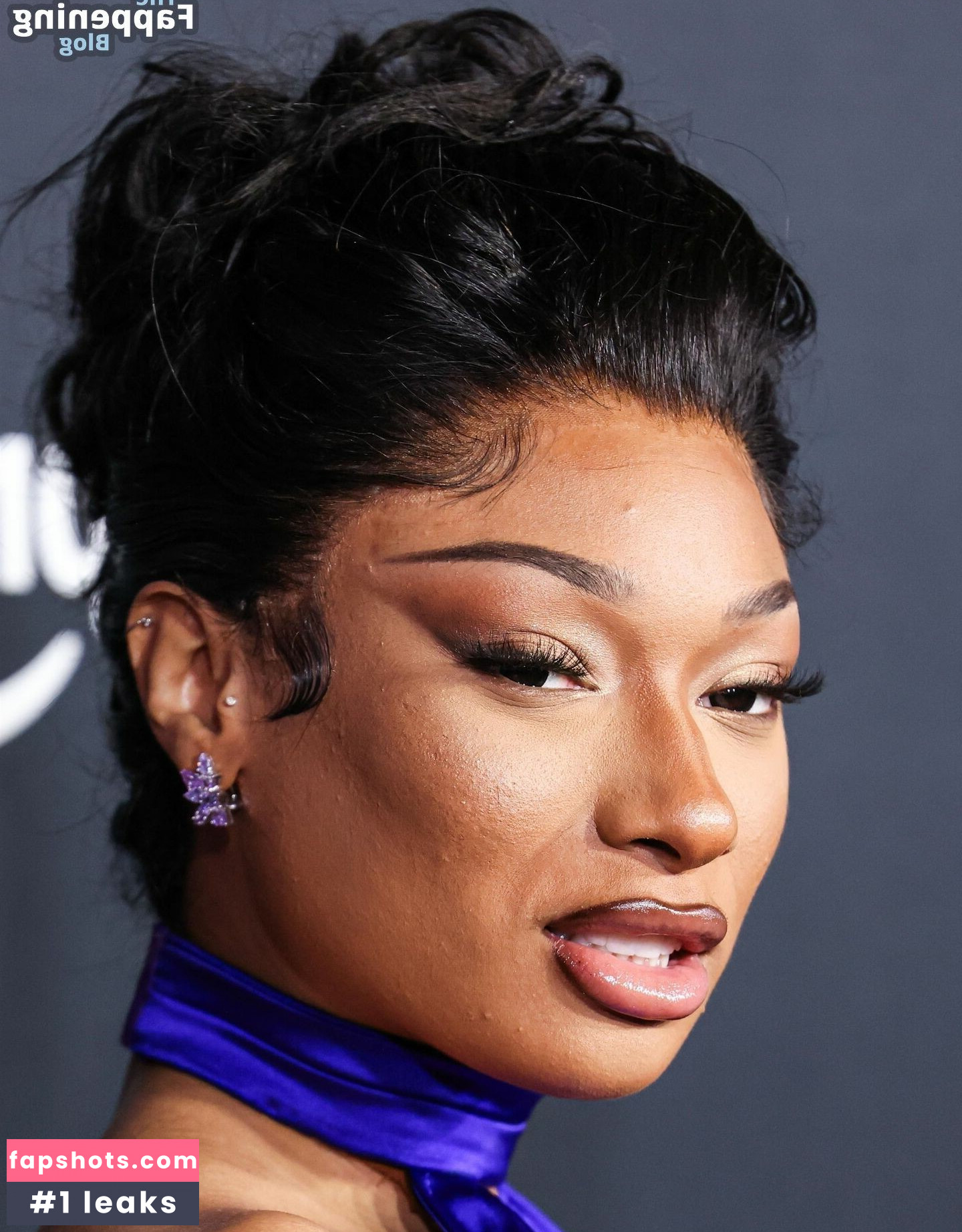 Megan Thee Stallion Nacktheit OnlyFans Fotos #173 - Fapshots