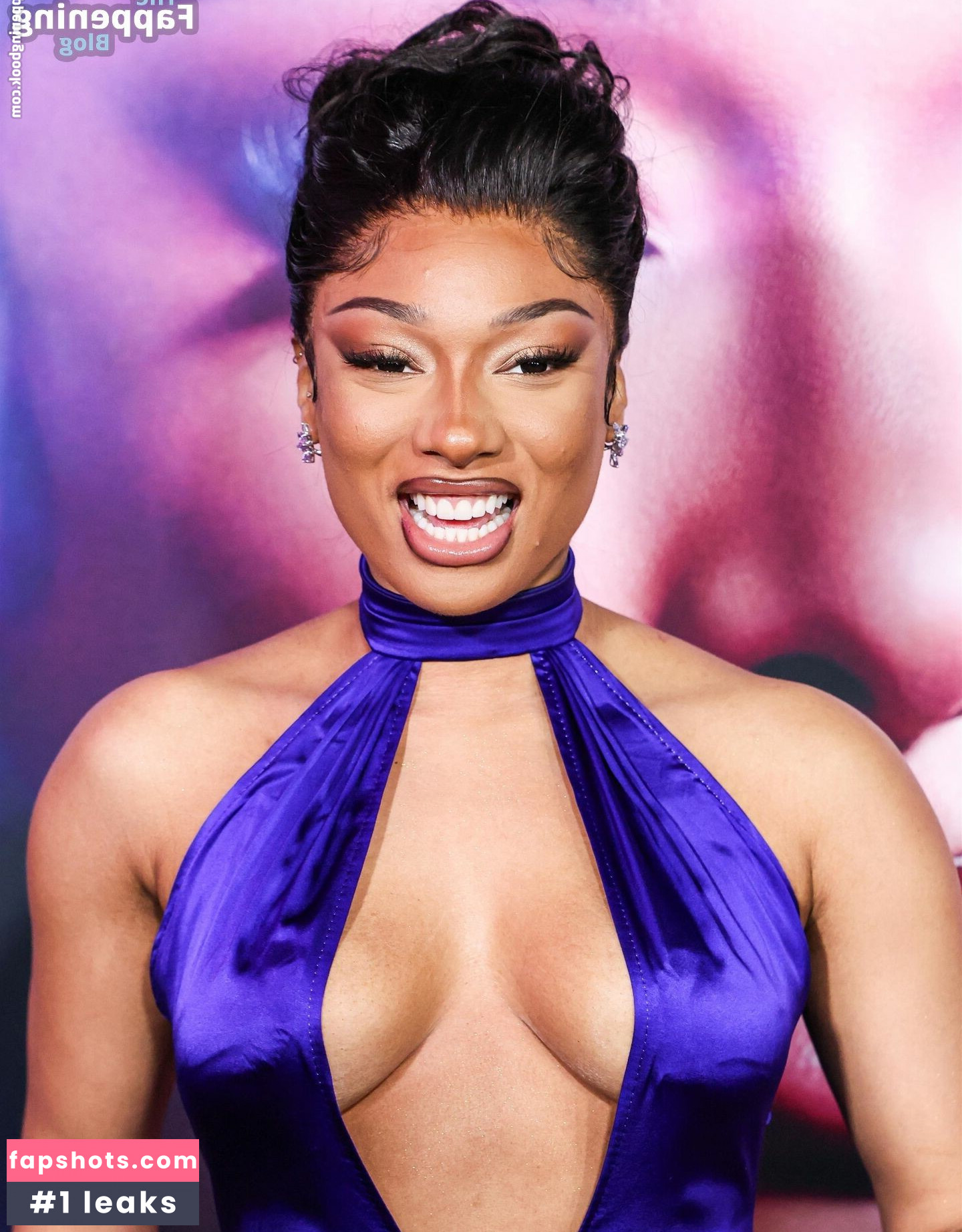 Megan Thee Stallion Nacktheit OnlyFans Fotos #178 - Fapshots