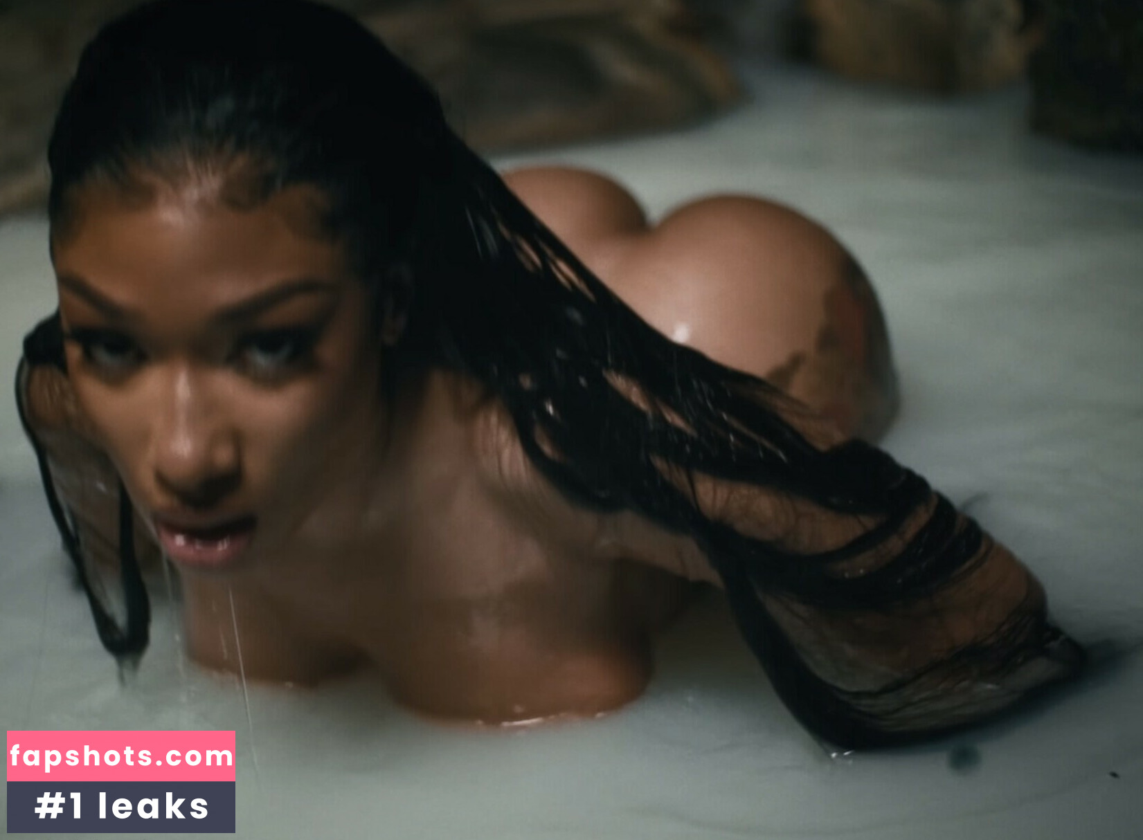 Megan Thee Stallion gallery photo #208