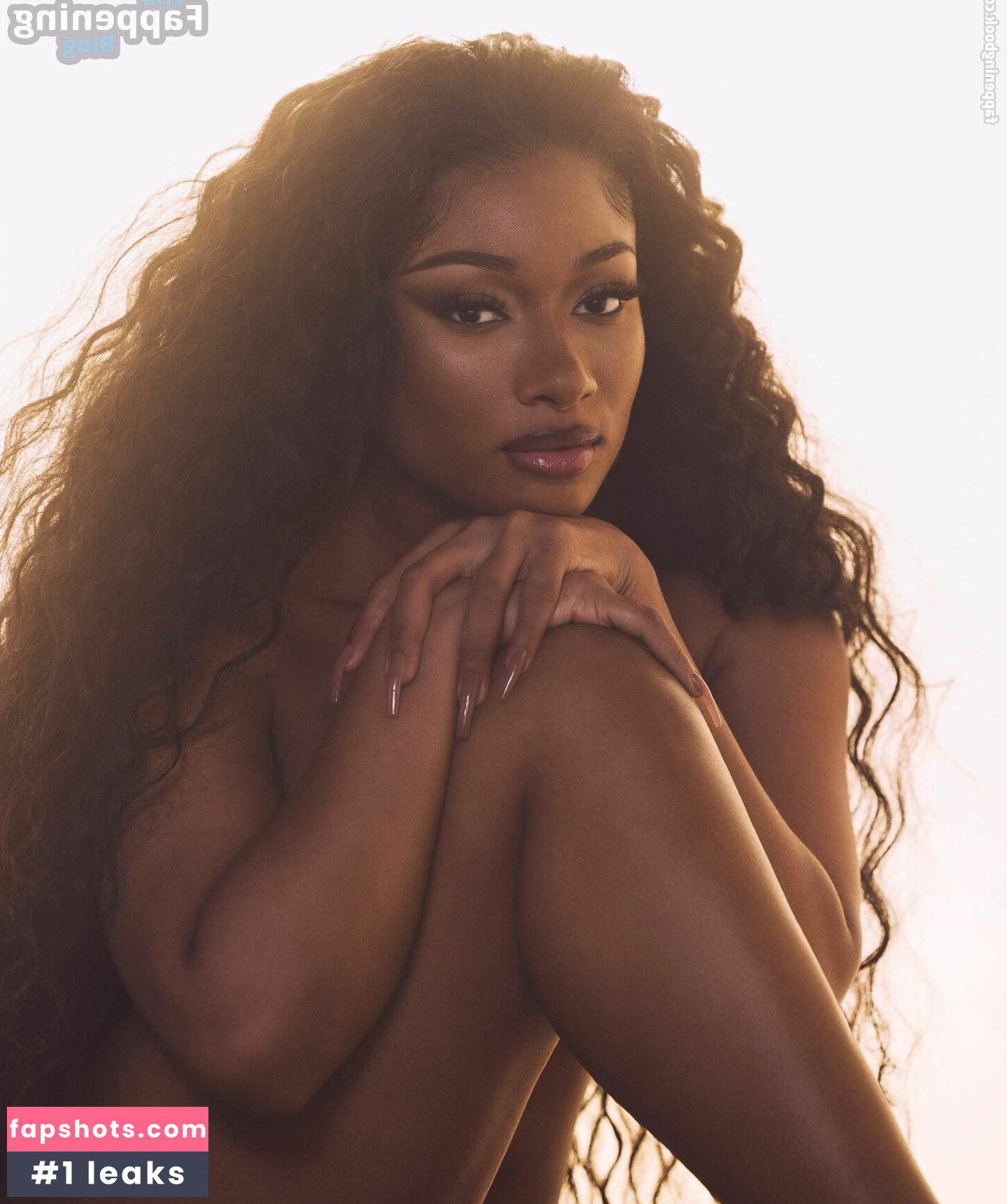 Megan Thee Stallion gallery photo #221