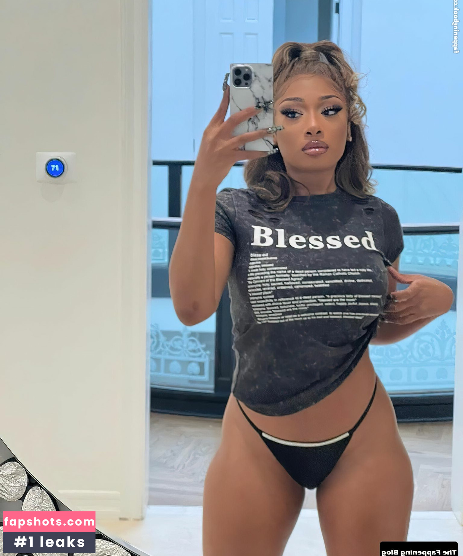 Megan Thee Stallion gallery photo #227