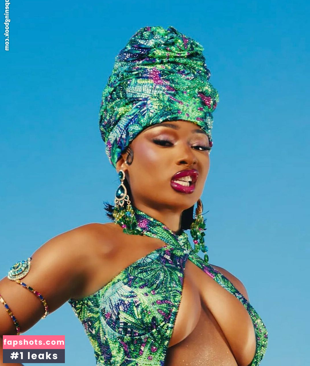 Megan Thee Stallion gallery photo #270