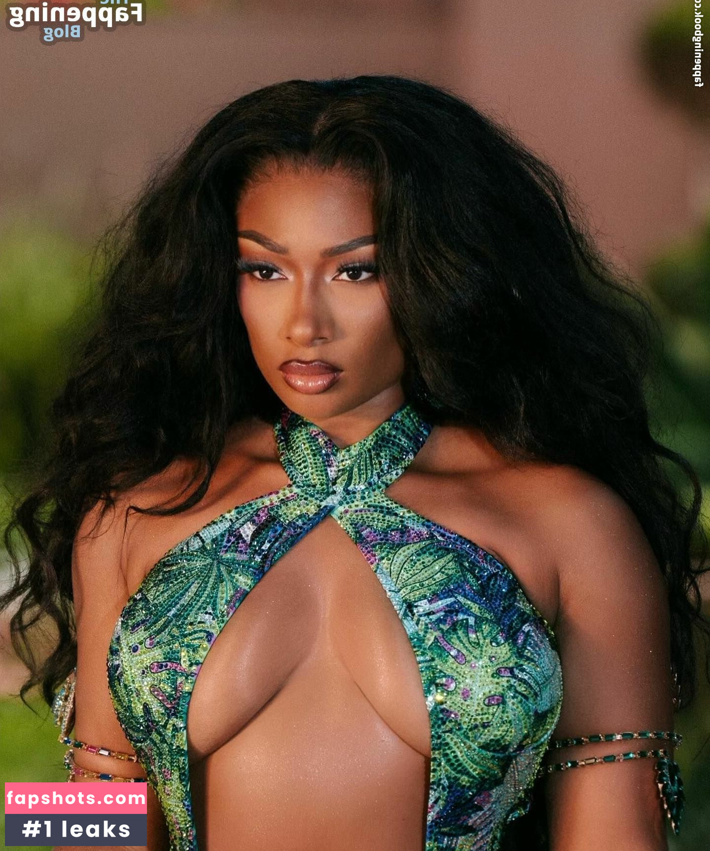 Megan Thee Stallion gallery photo #274