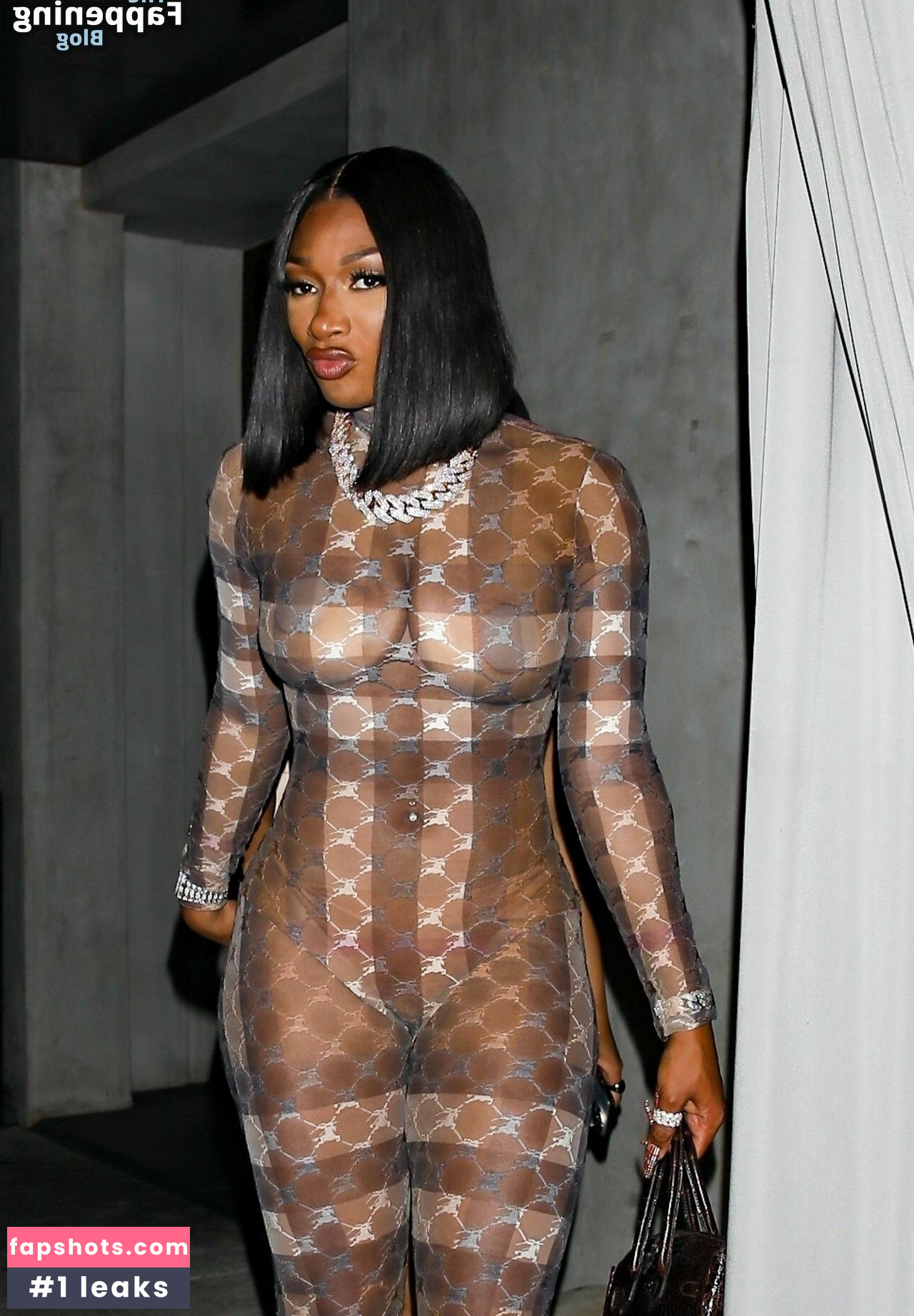 Megan Thee Stallion gallery photo #279