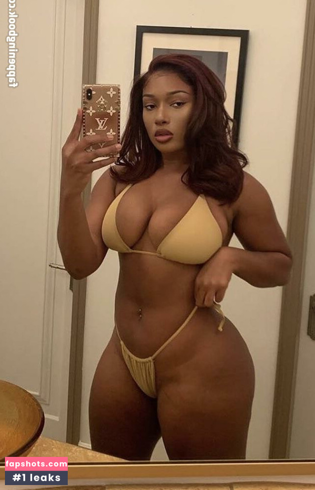 Megan Thee Stallion Nacktheit OnlyFans Fotos #357 - Fapshots