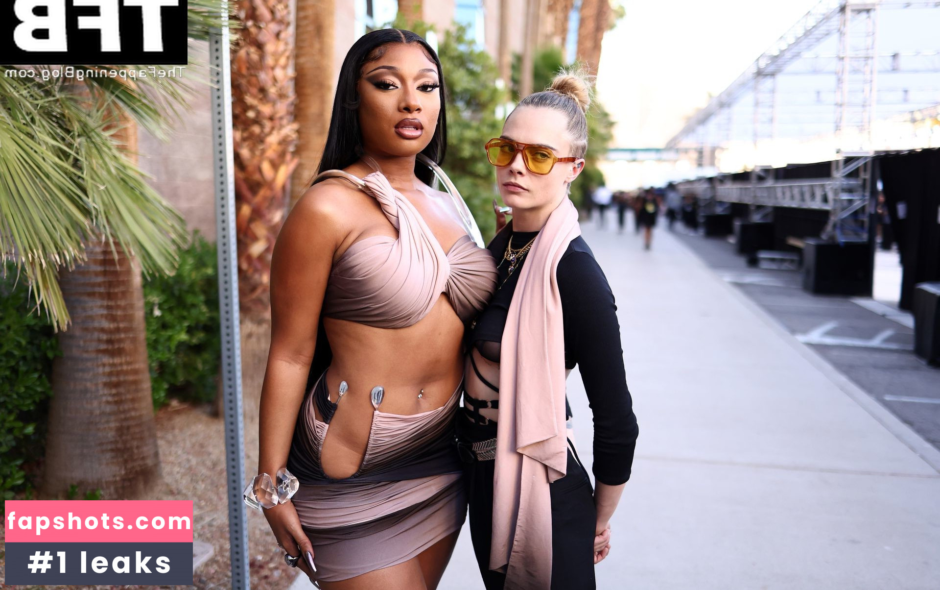 Megan Thee Stallion Nacktheit OnlyFans Fotos #387 - Fapshots